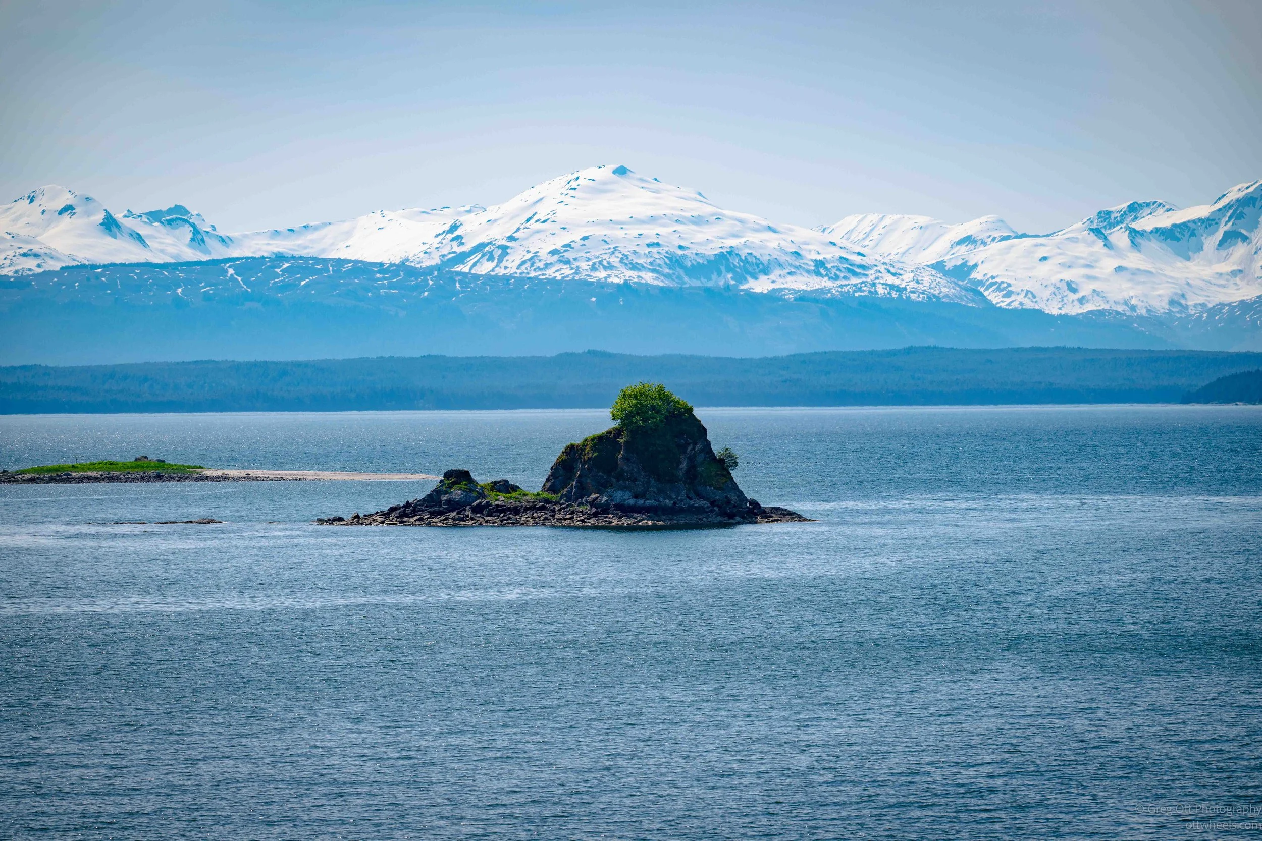 _NZ81515.jpg