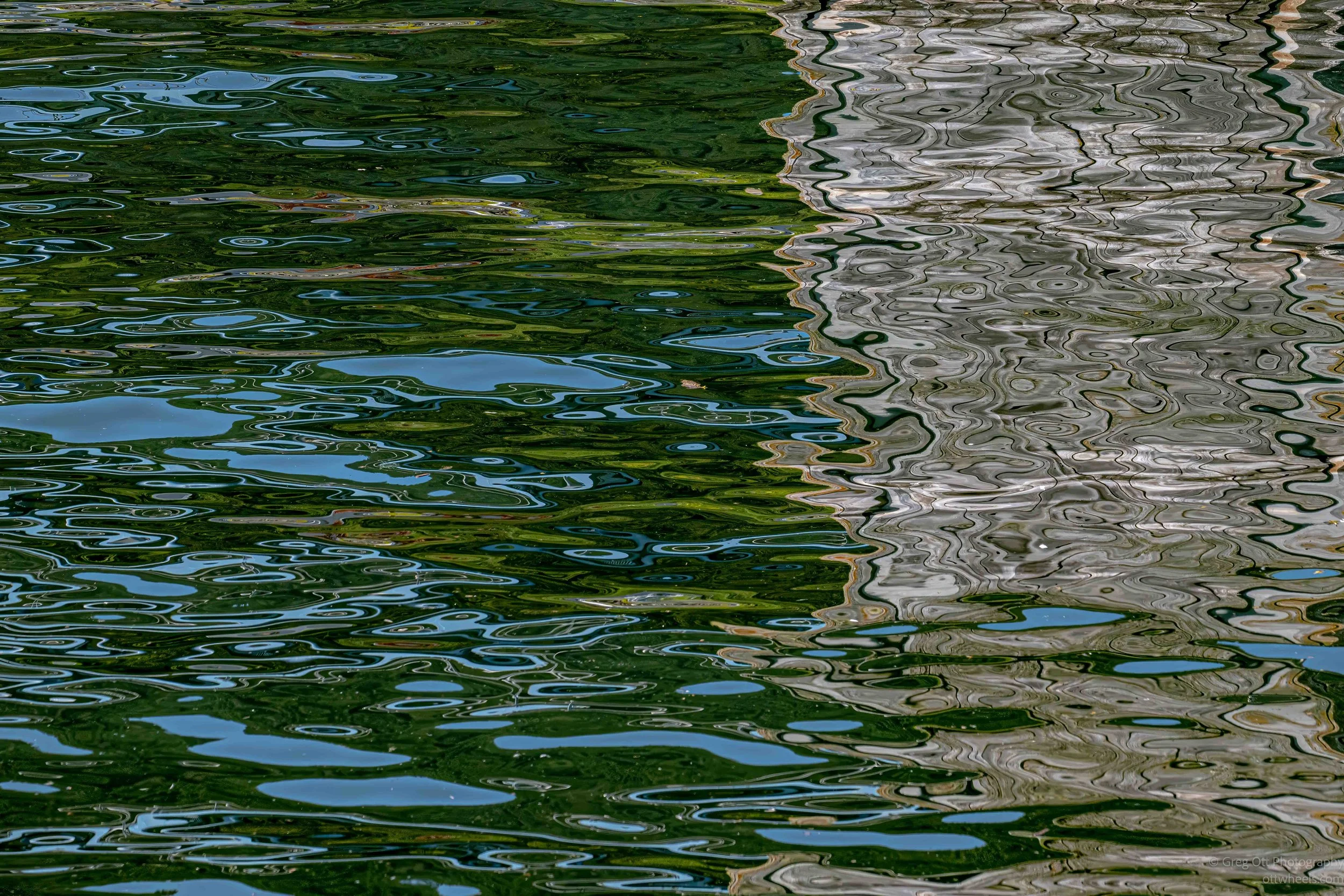 _NZ81532-Edit.jpg