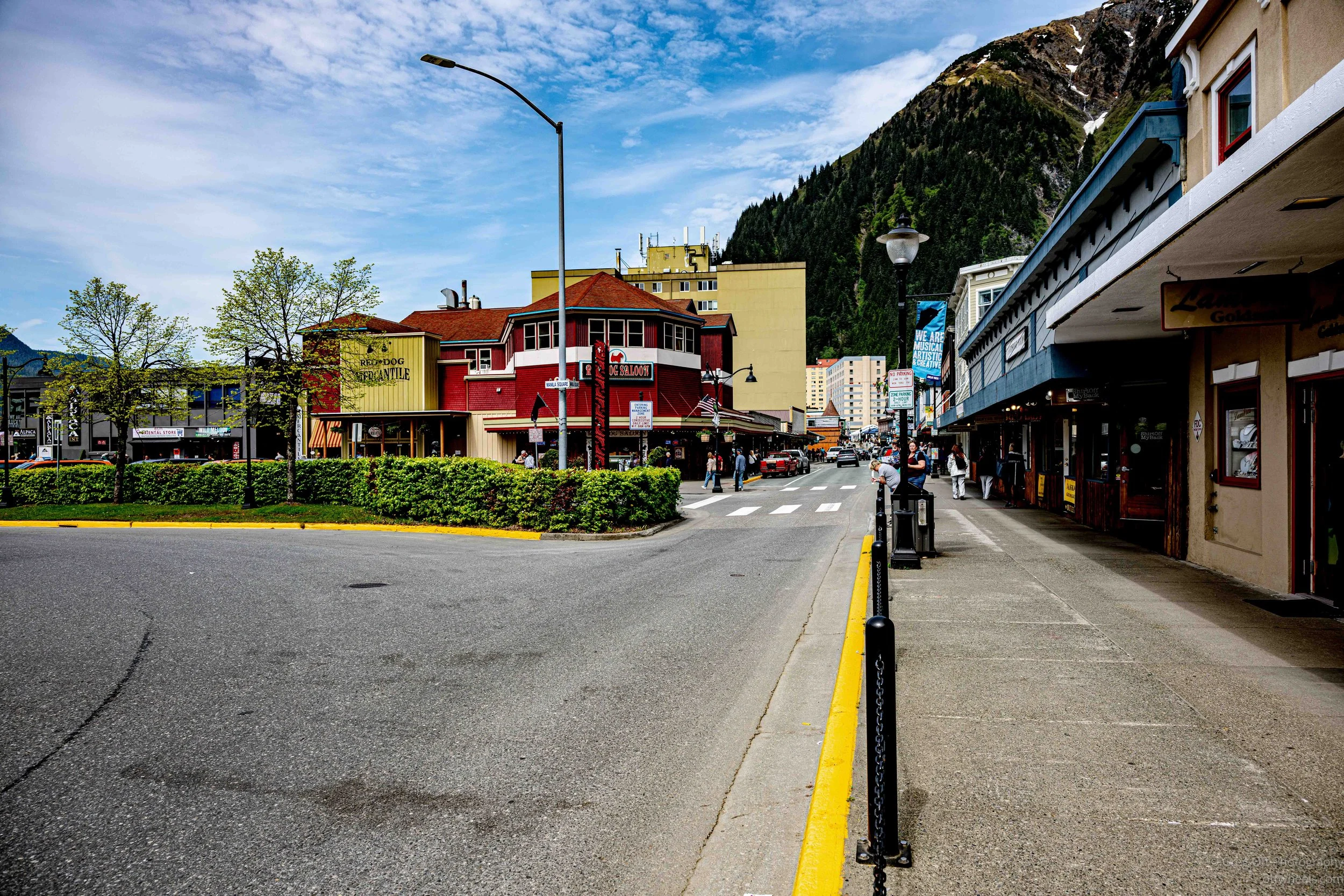 _NZ81708.jpg