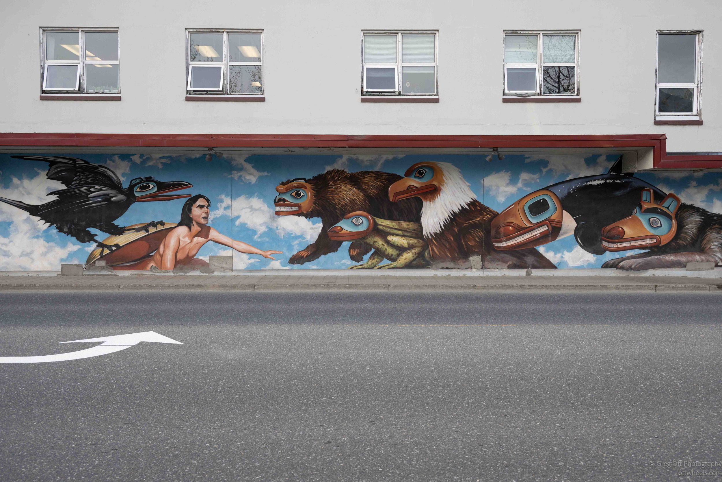 _NZ82008.jpg