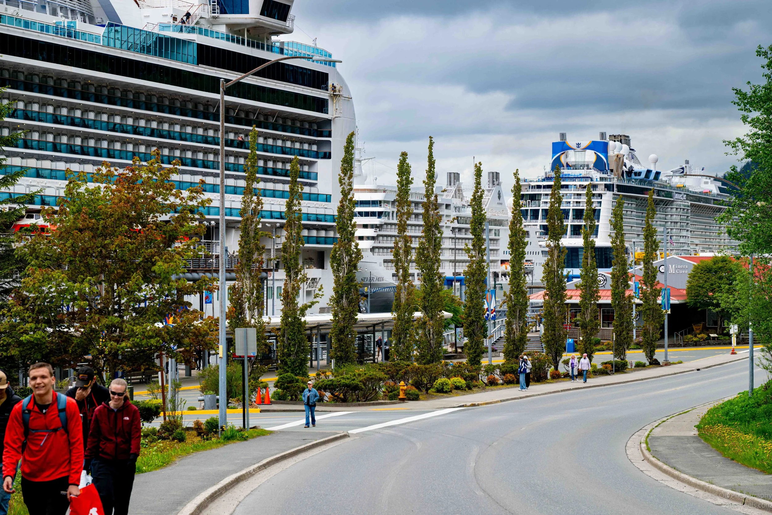 _NZ82238-Edit.jpg