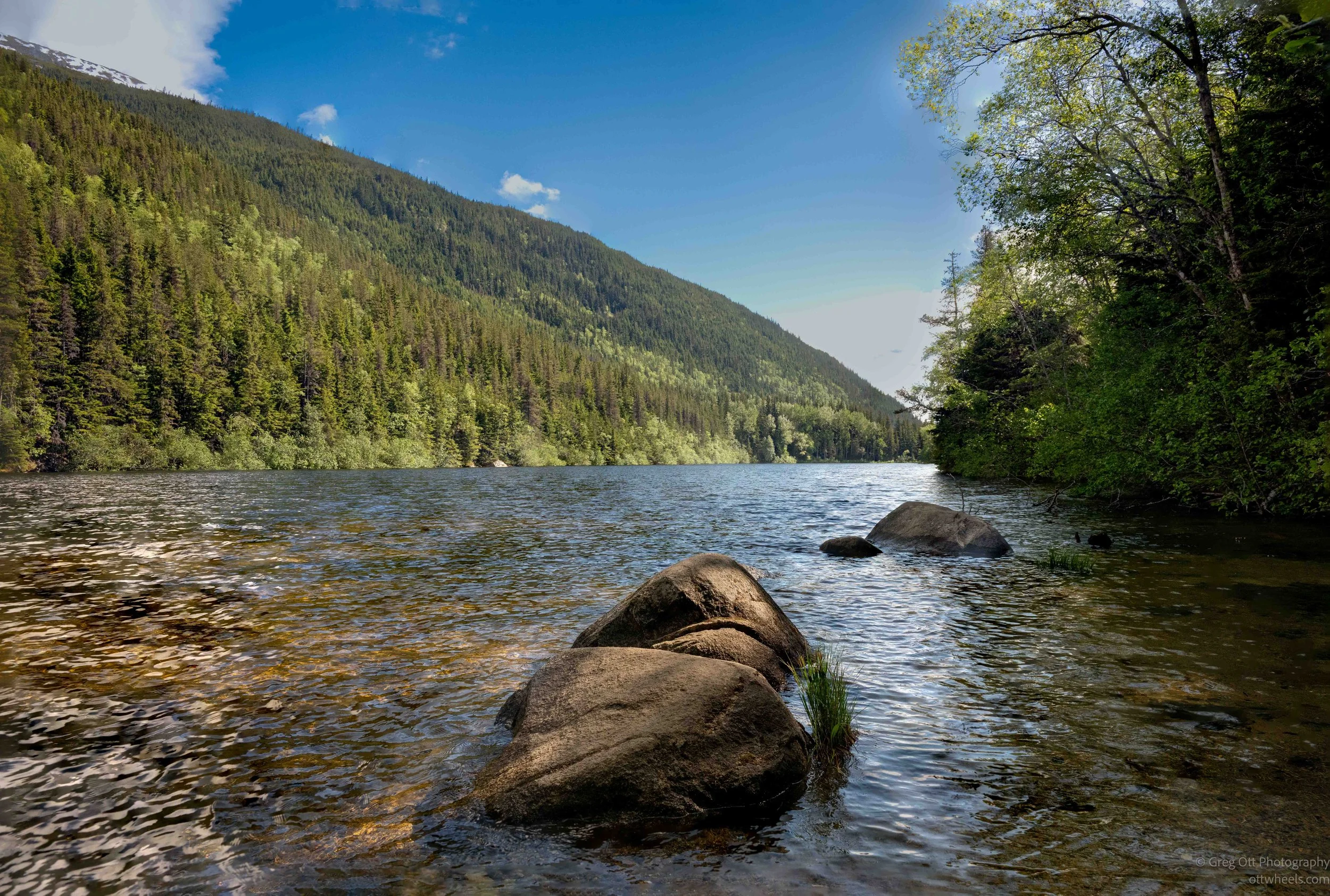 _NZ82327-Edit.jpg