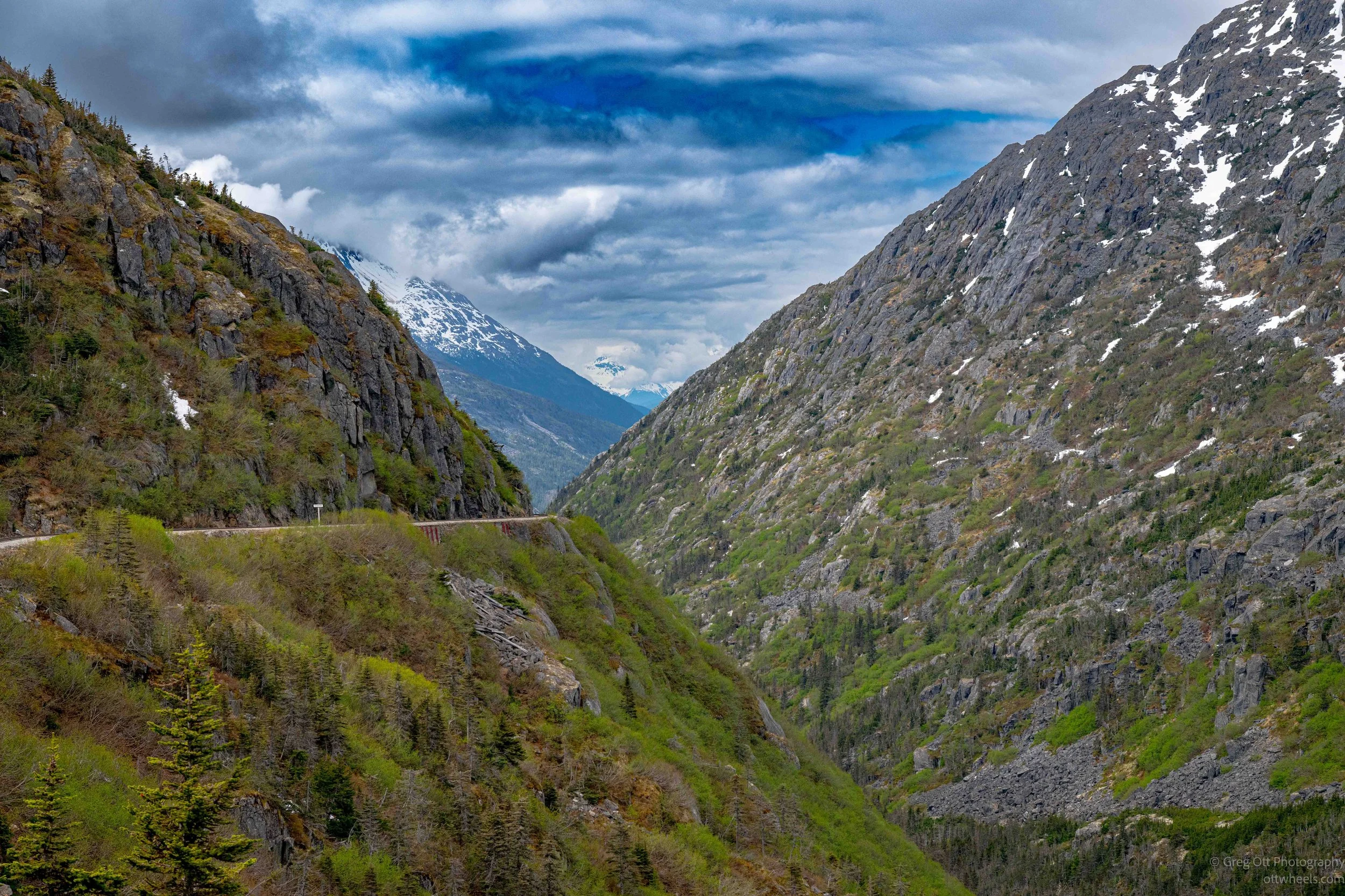 _NZ82500.jpg
