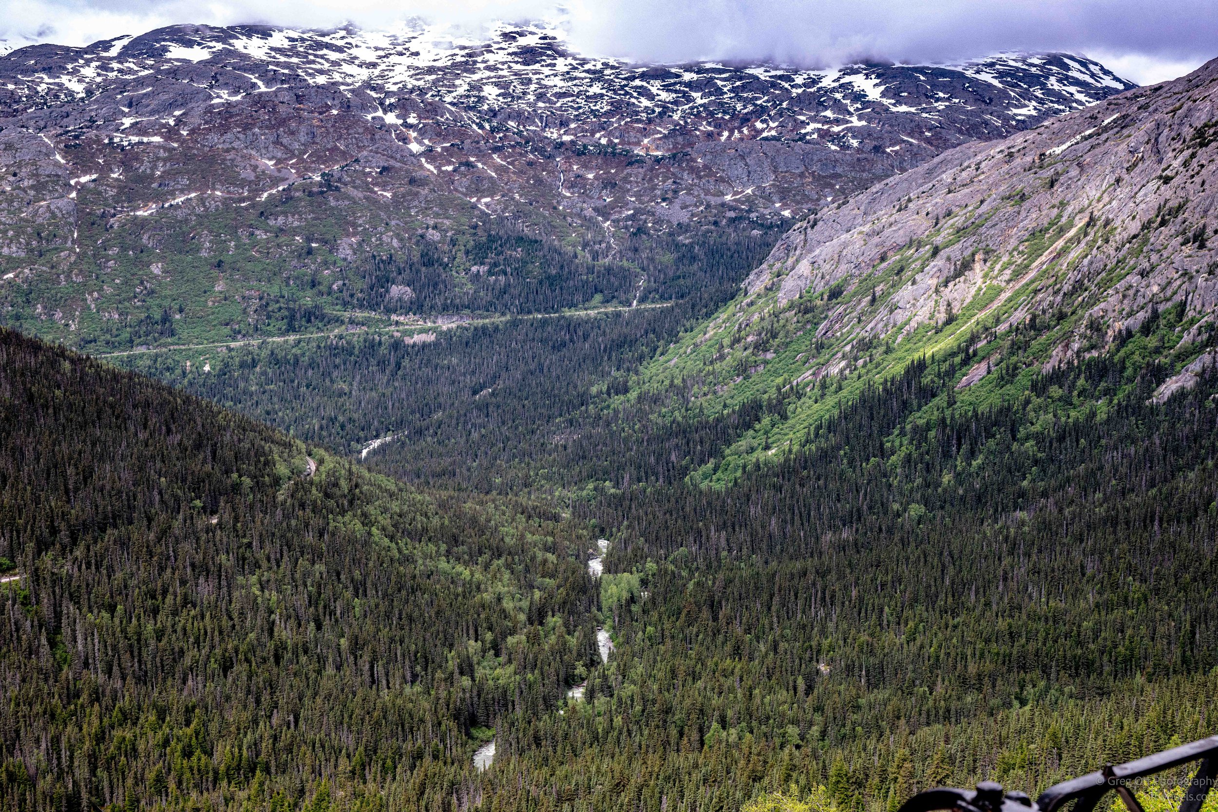 _NZ82524.jpg