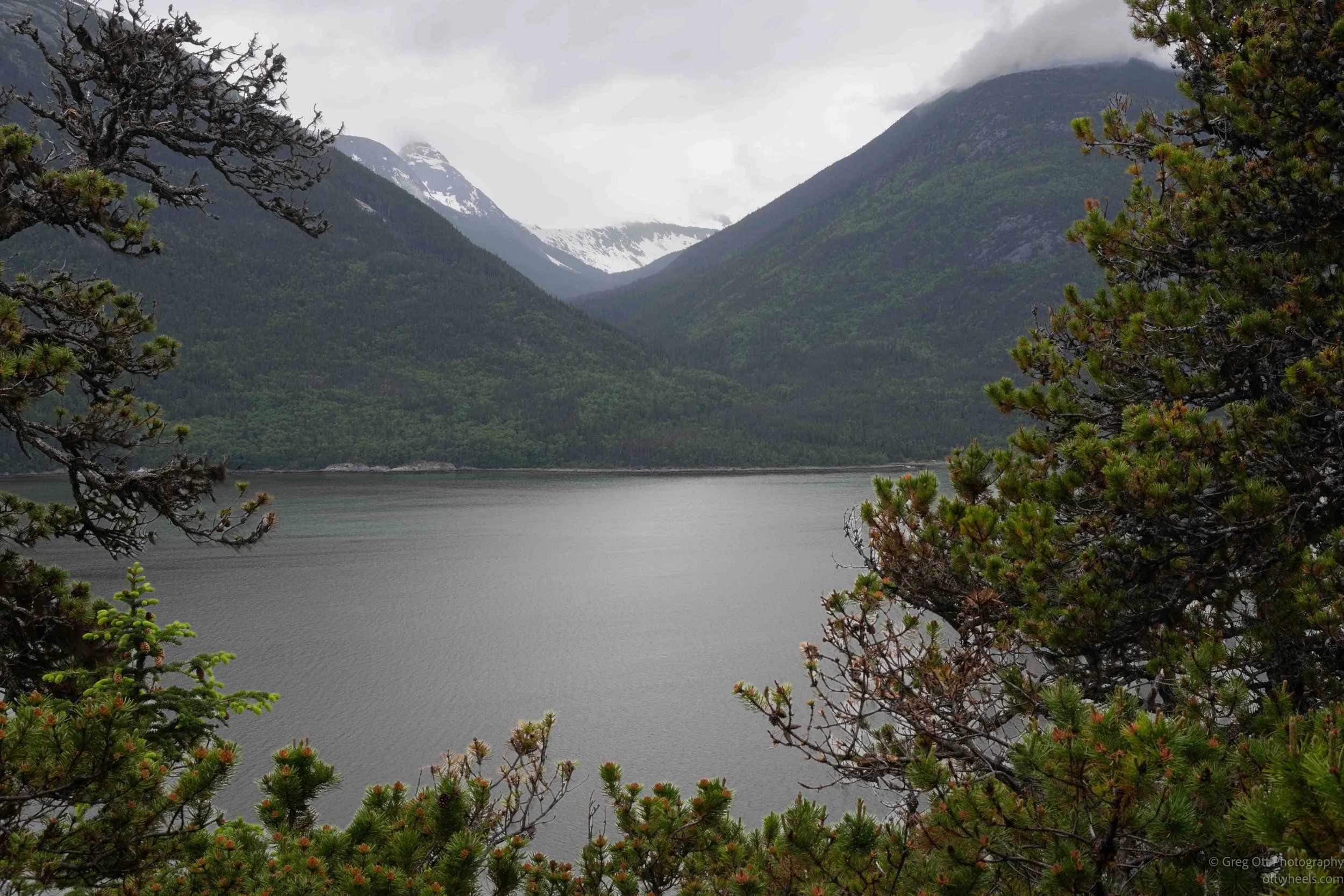 _NZ82640.jpg