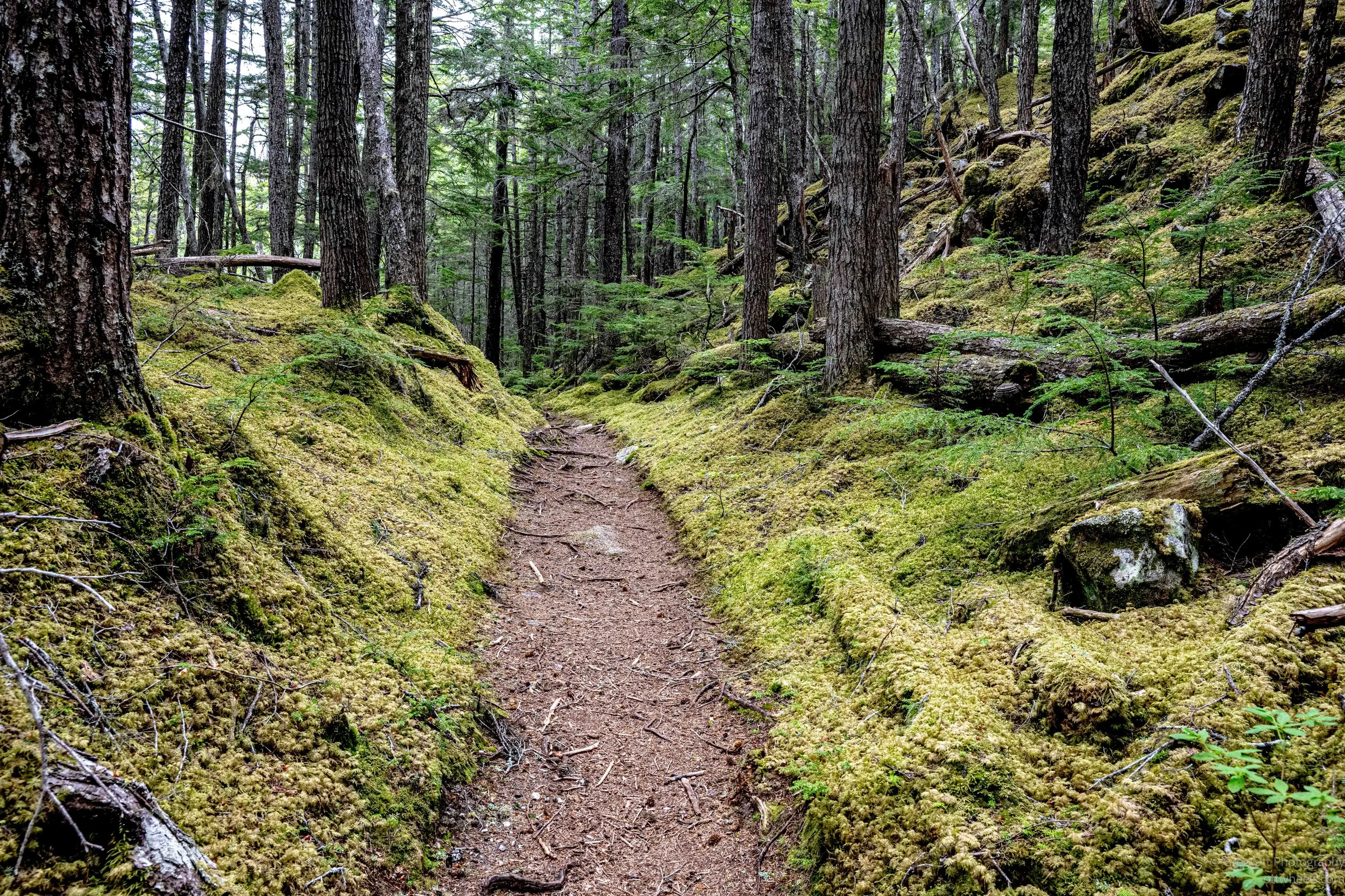 Sturgill's Landing and a Quiet Skagway