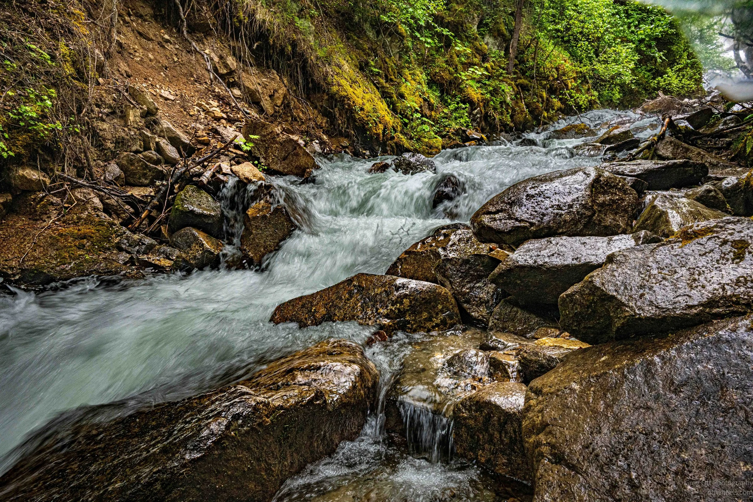 _NZ82691.jpg