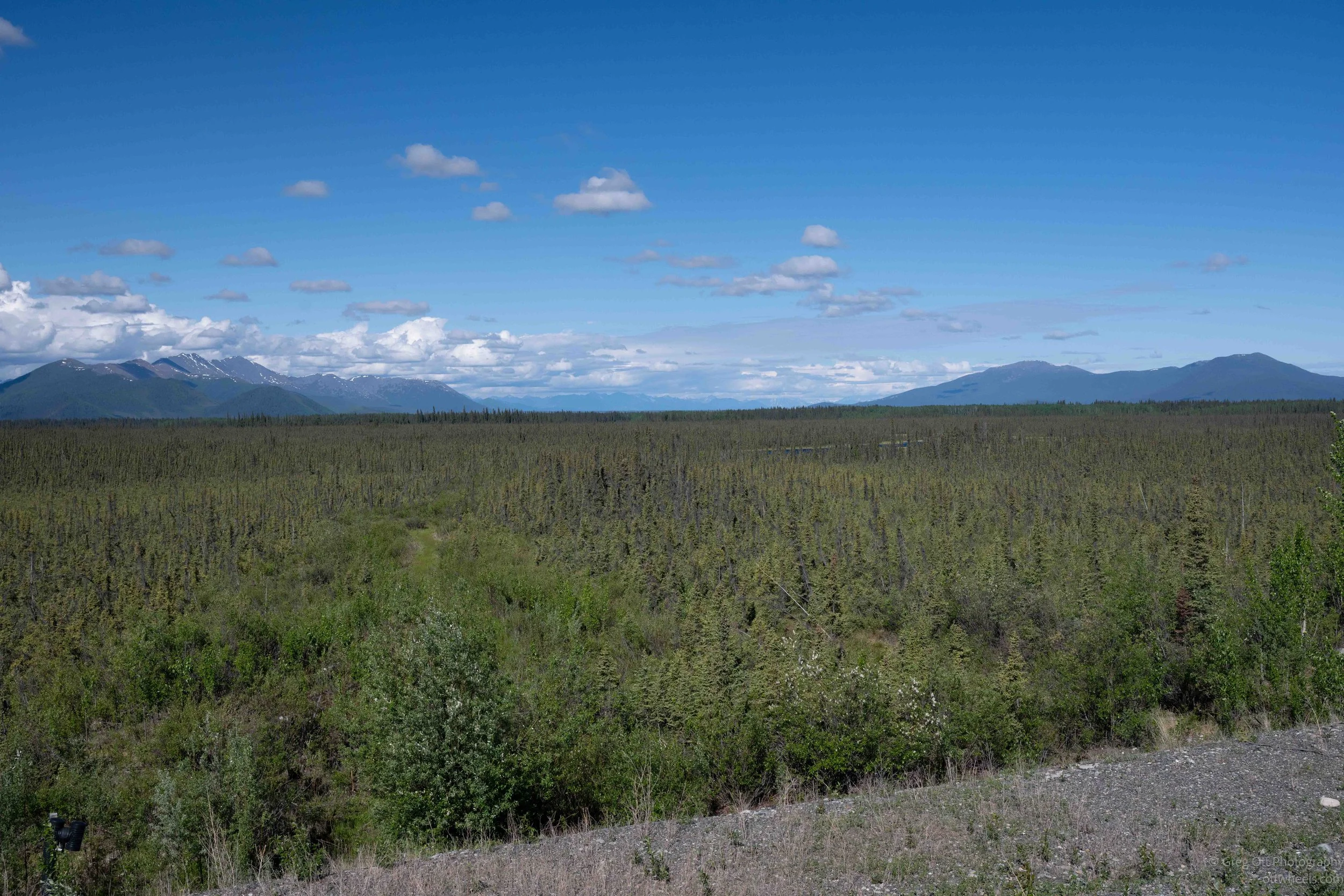_NZ82980.jpg
