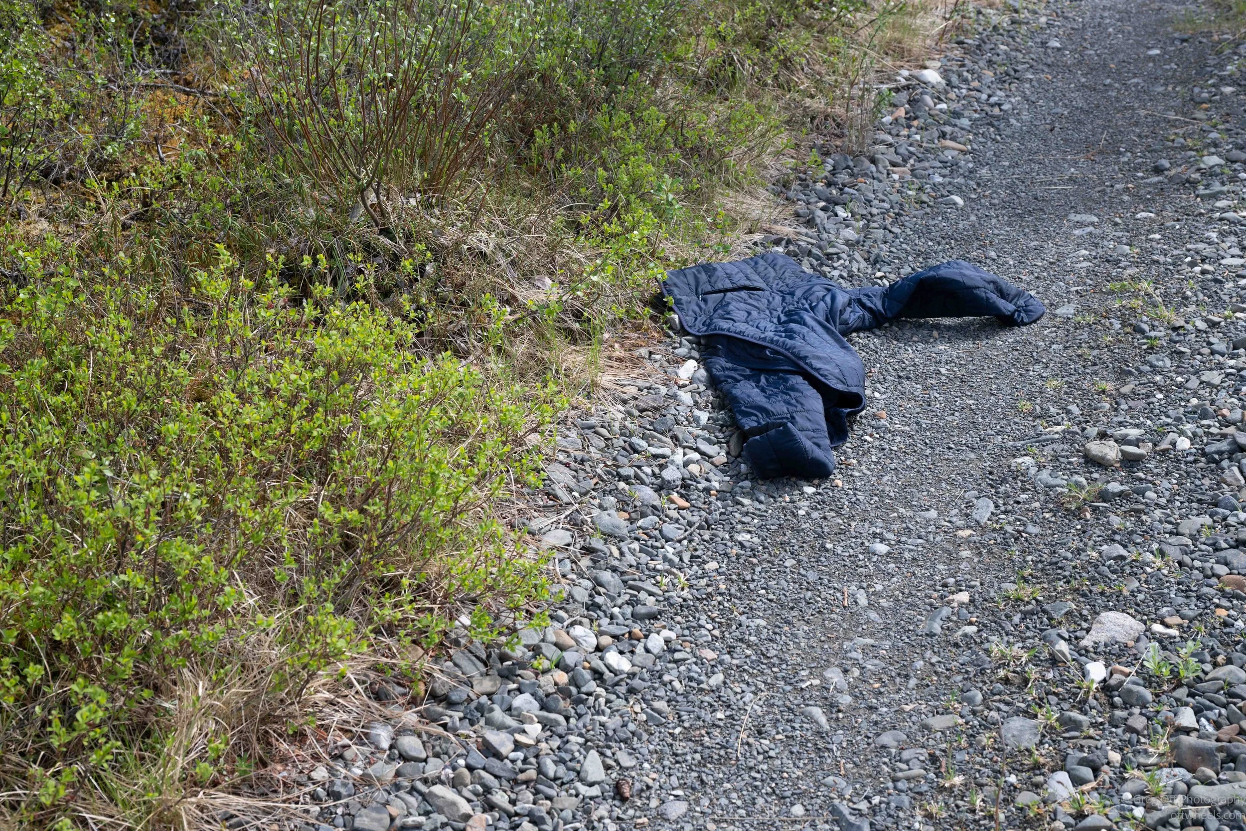 _NZ83148.jpg