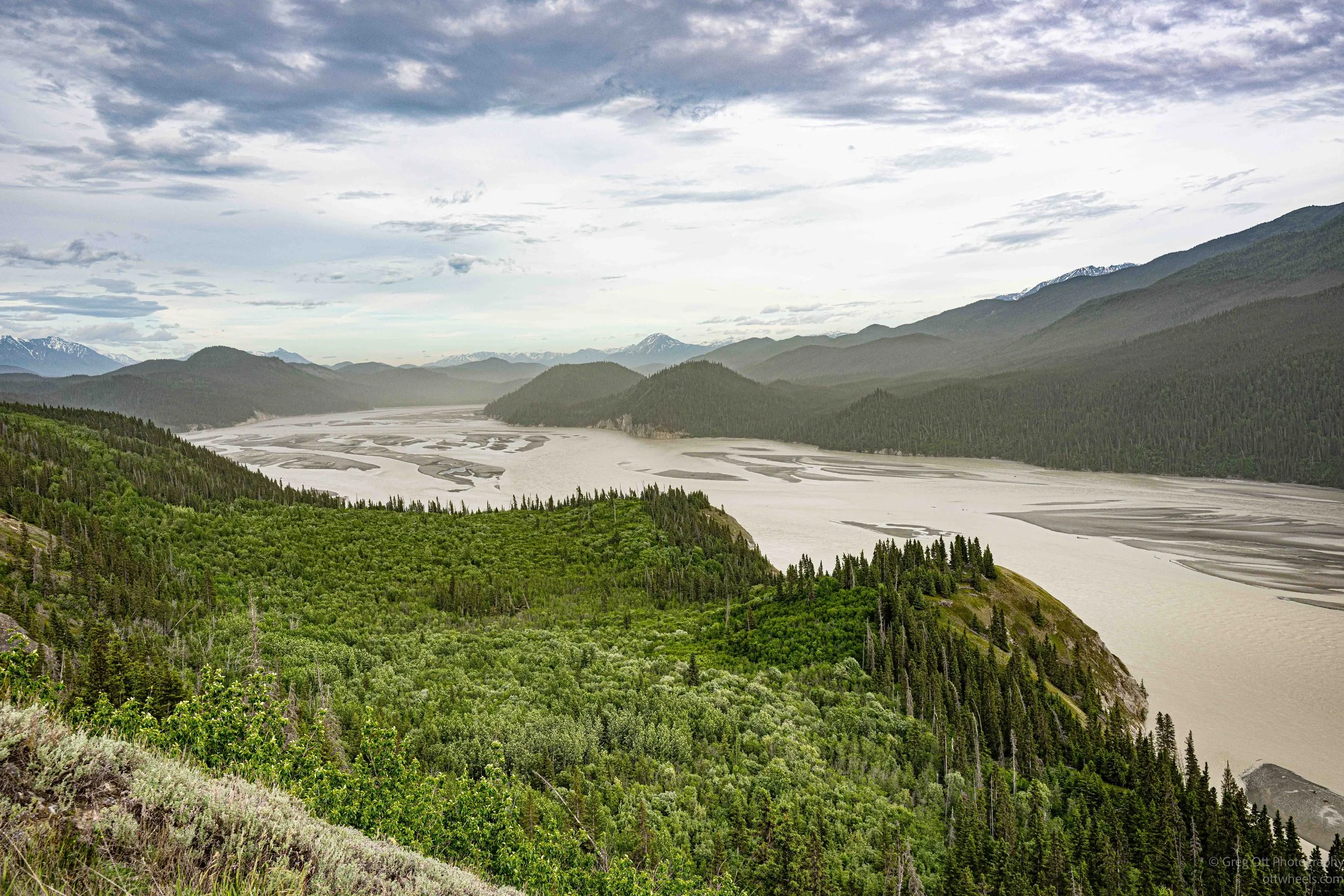 _NZ83236.jpg