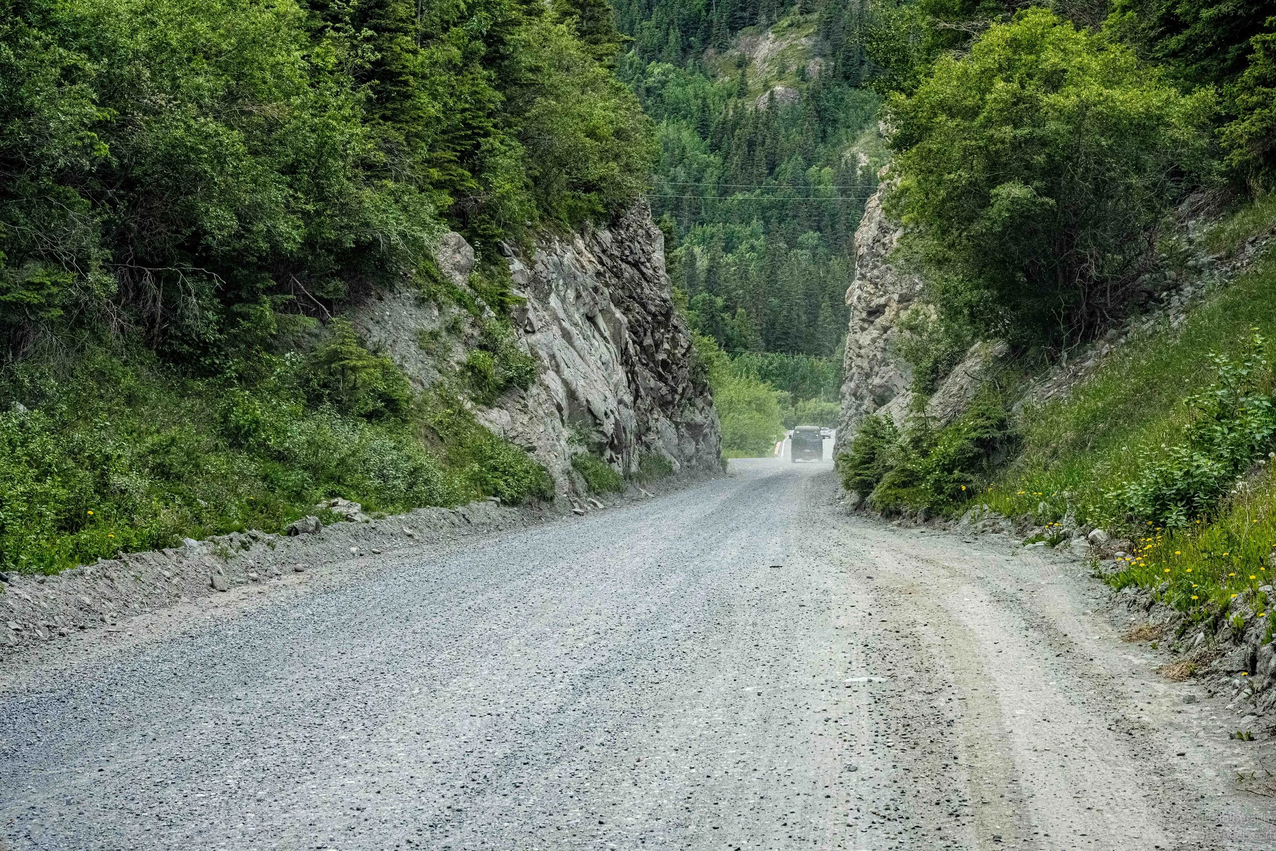 _NZ73230.jpg