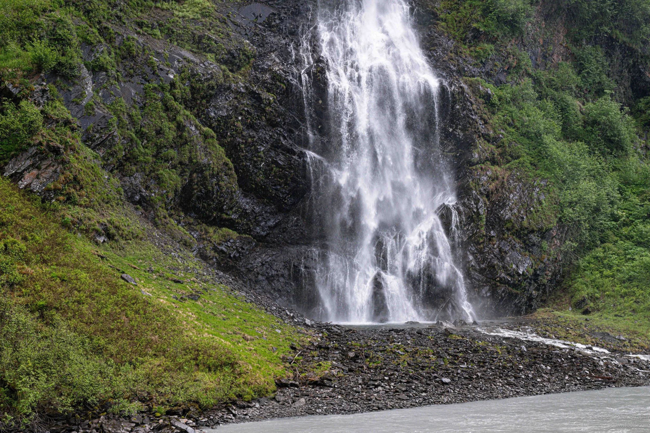 _NZ83416.jpg
