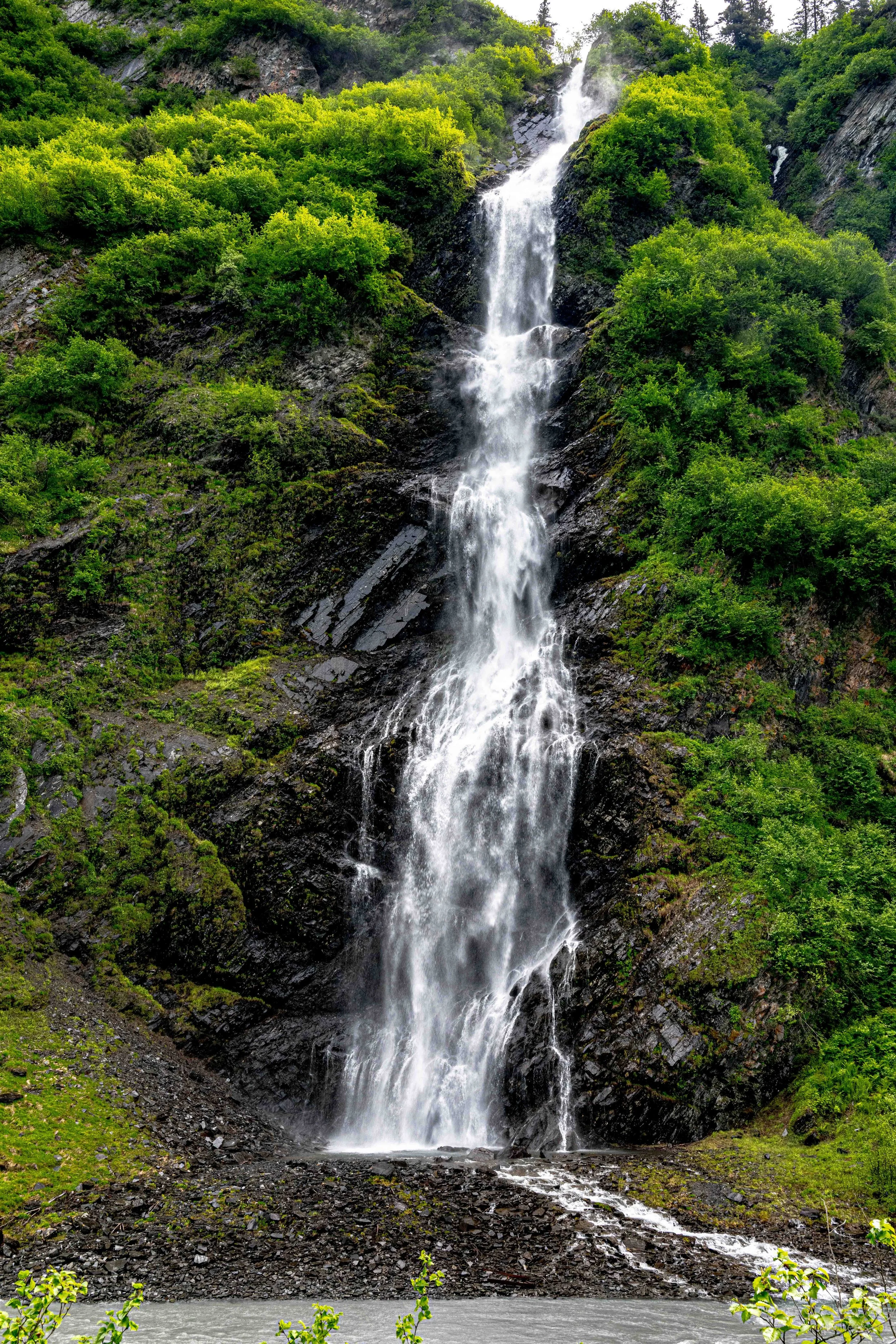 _NZ83425.jpg