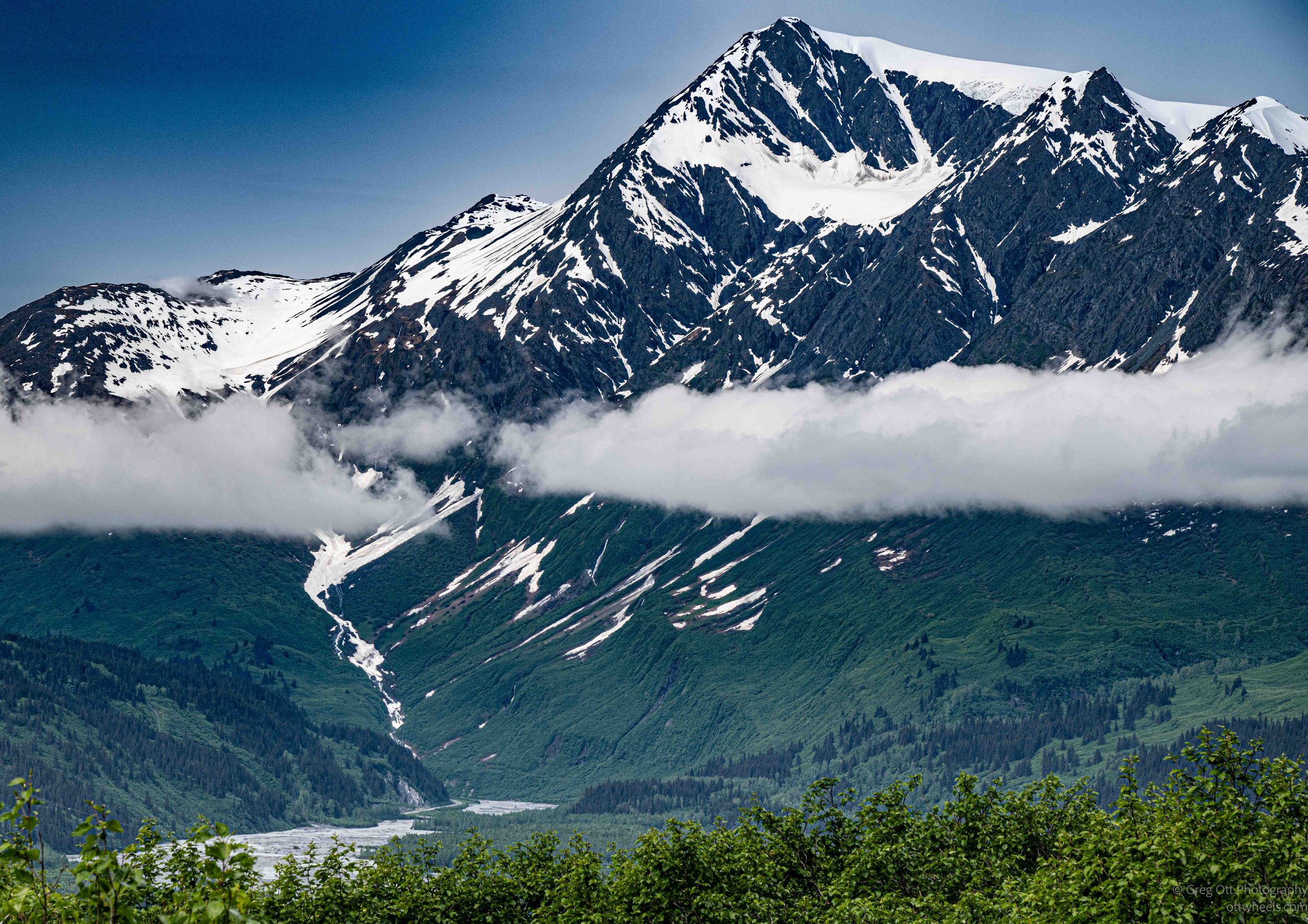 _NZ83406.jpg