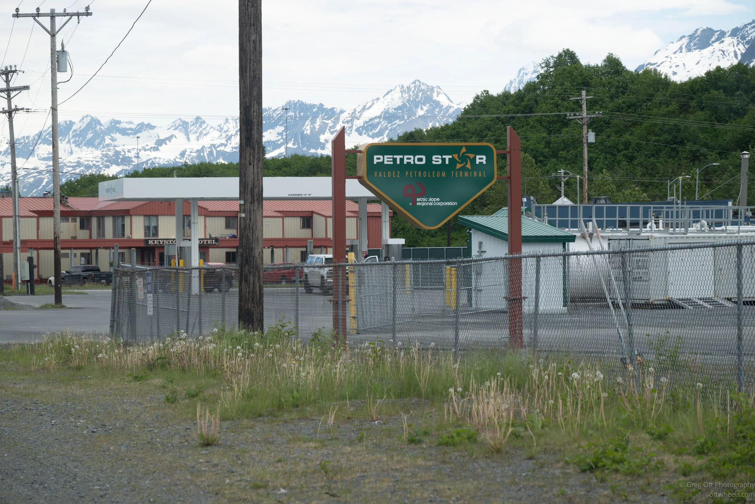 _NZ83433.jpg