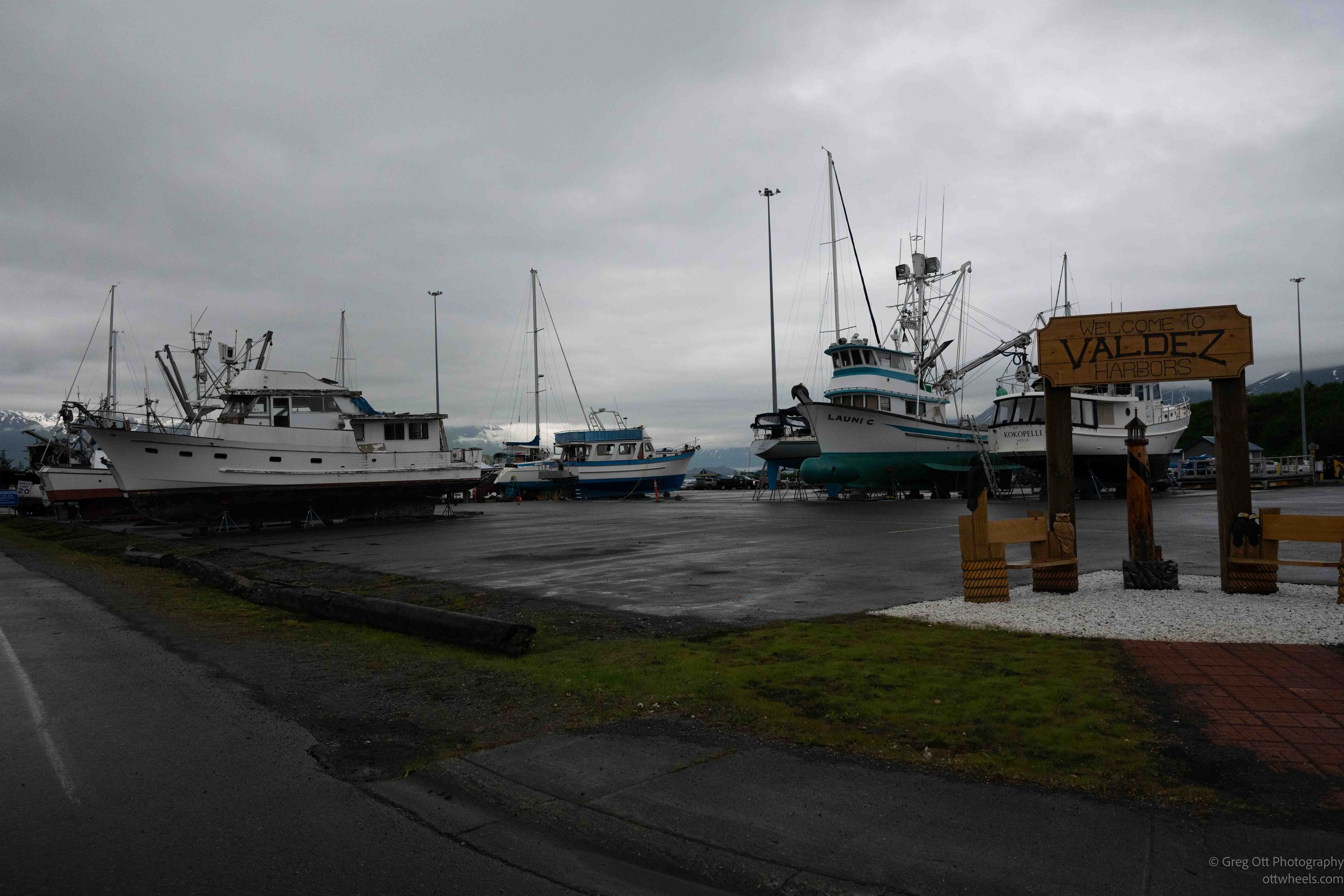 NZ8_3483.jpg