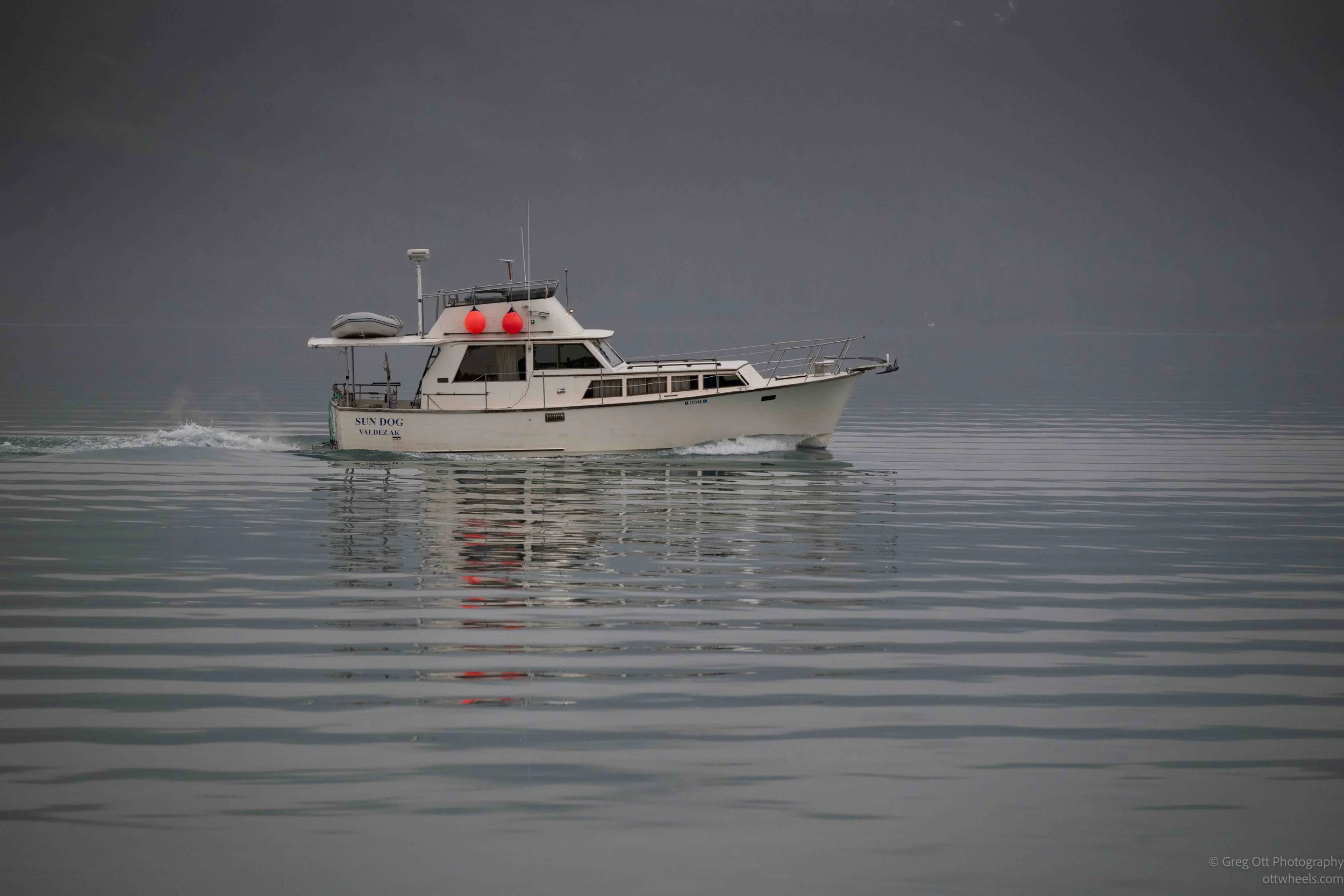 NZ8_3493.jpg