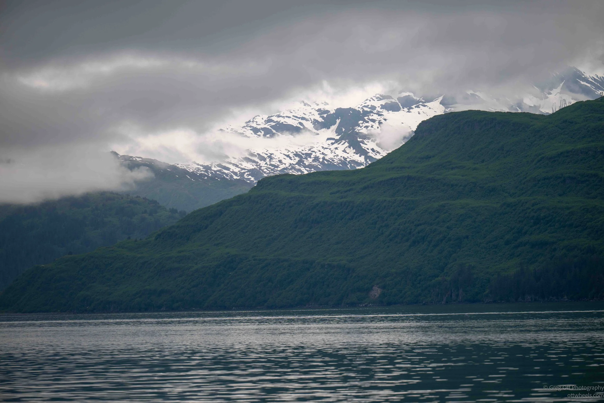 NZ8_3497.jpg