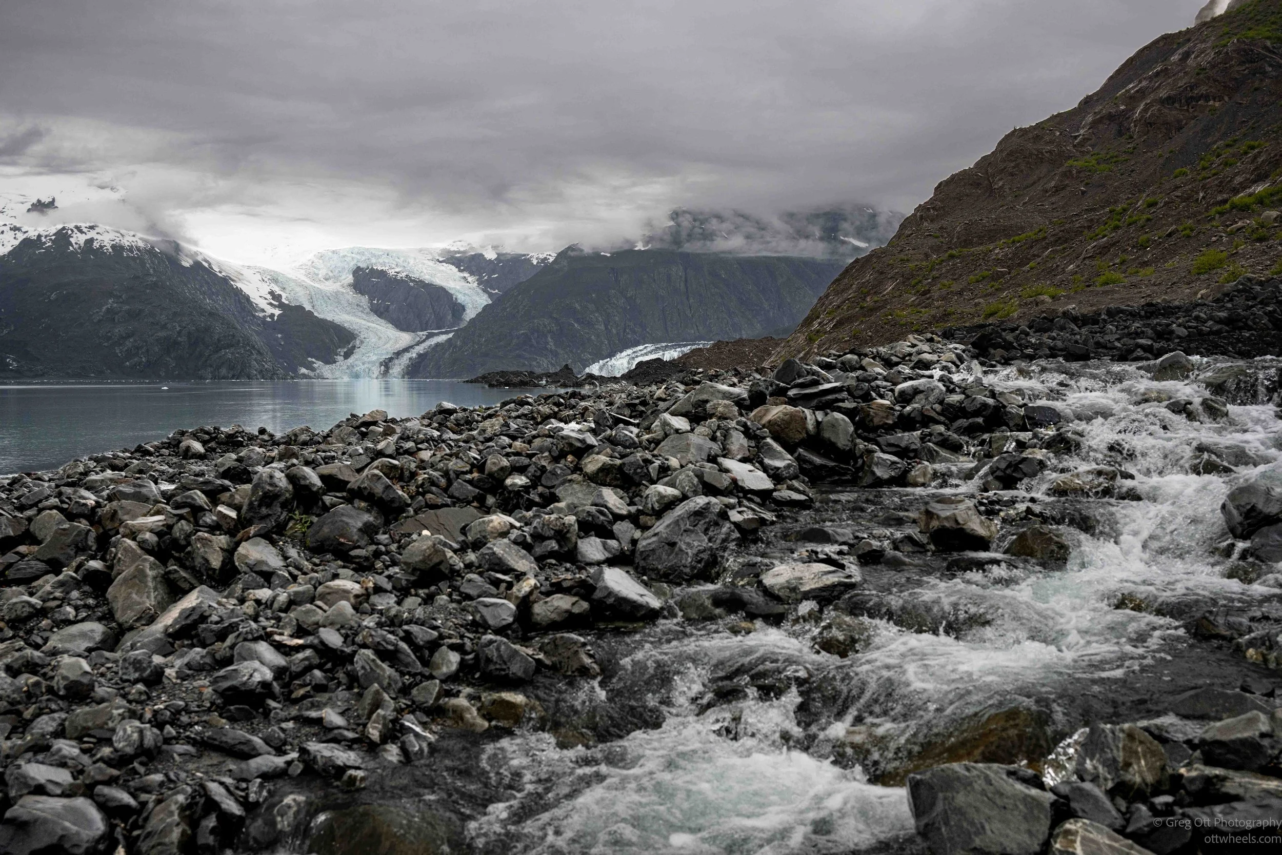 NZ8_3638.jpg