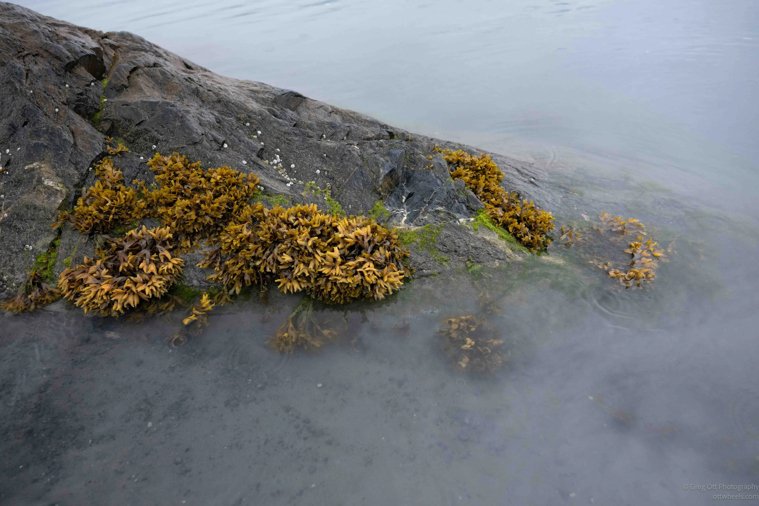 NZ8_3643.jpg