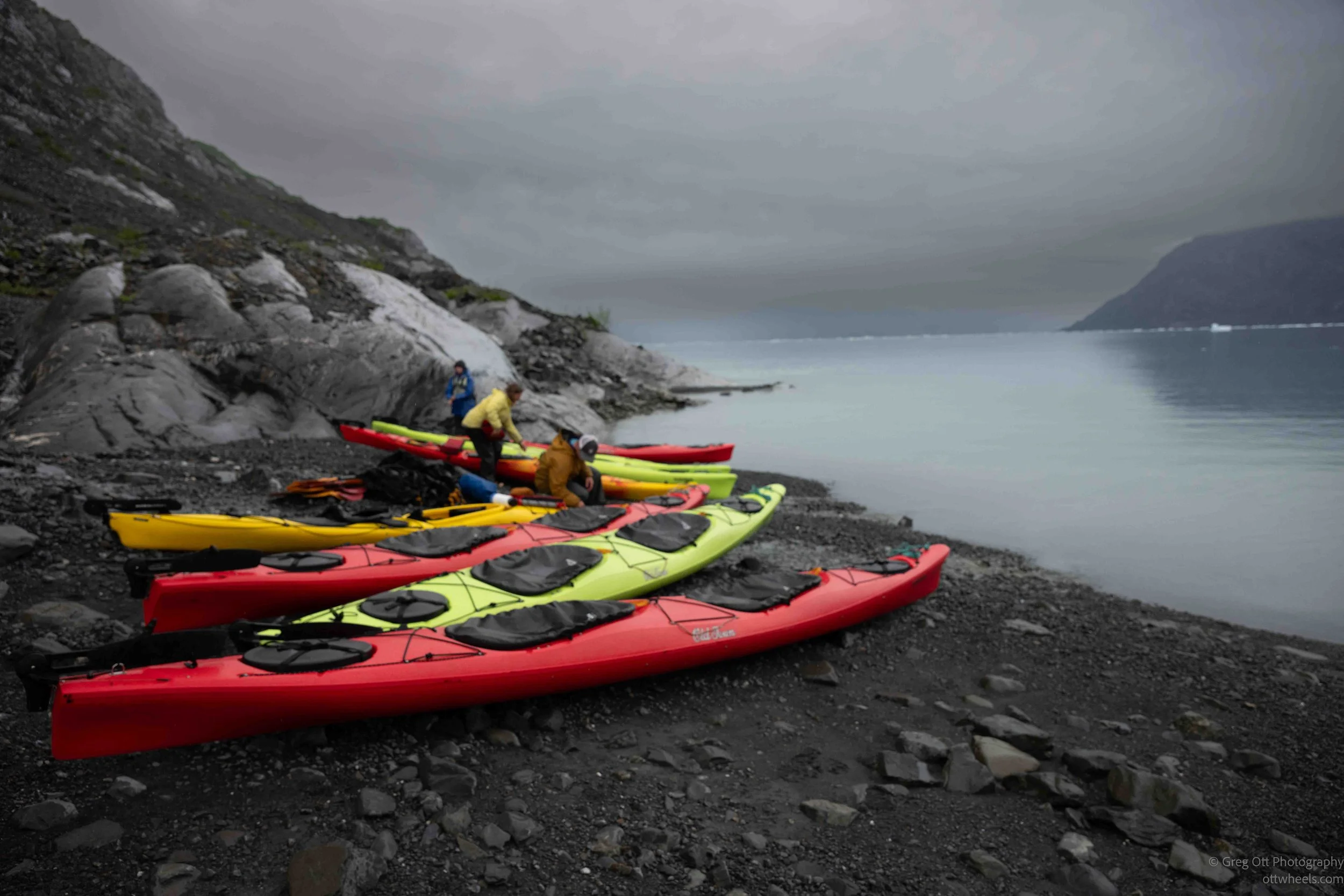 NZ8_3642.jpg