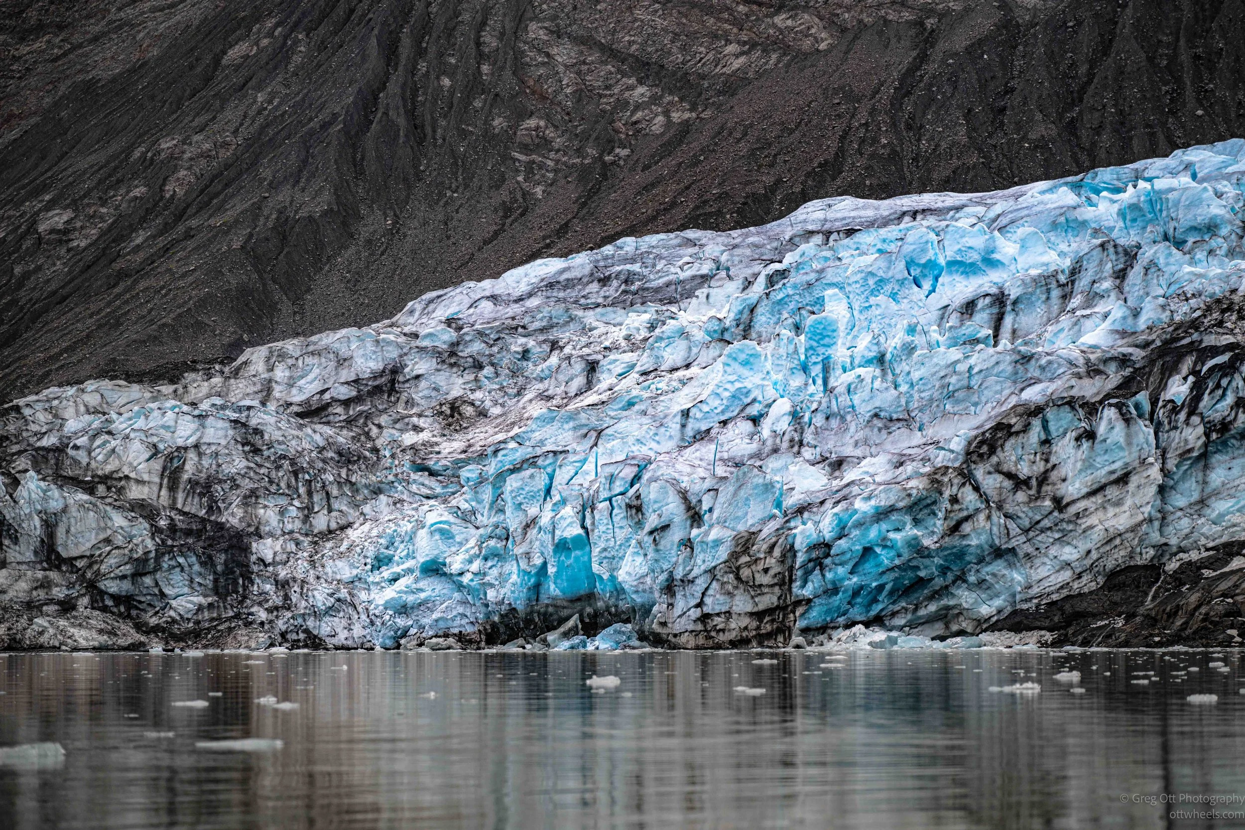 NZ8_3673.jpg
