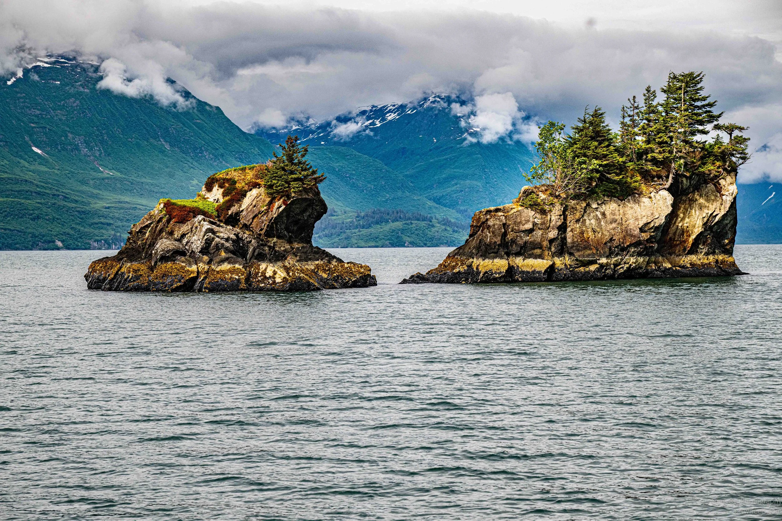 _NZ84185.jpg