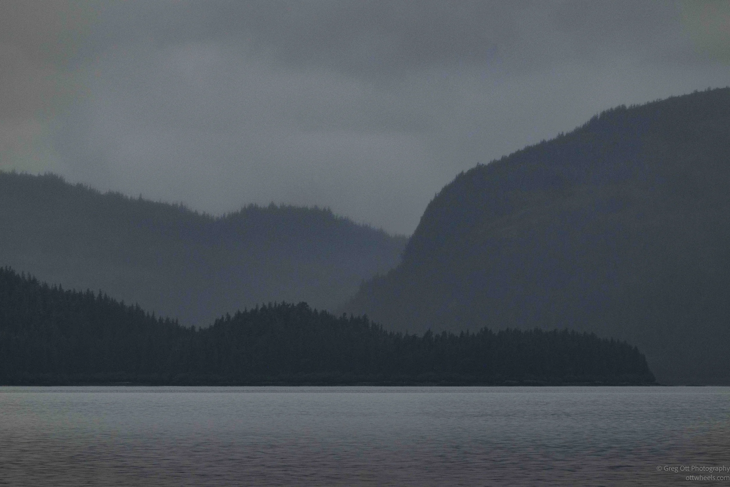 NZ8_4536.jpg