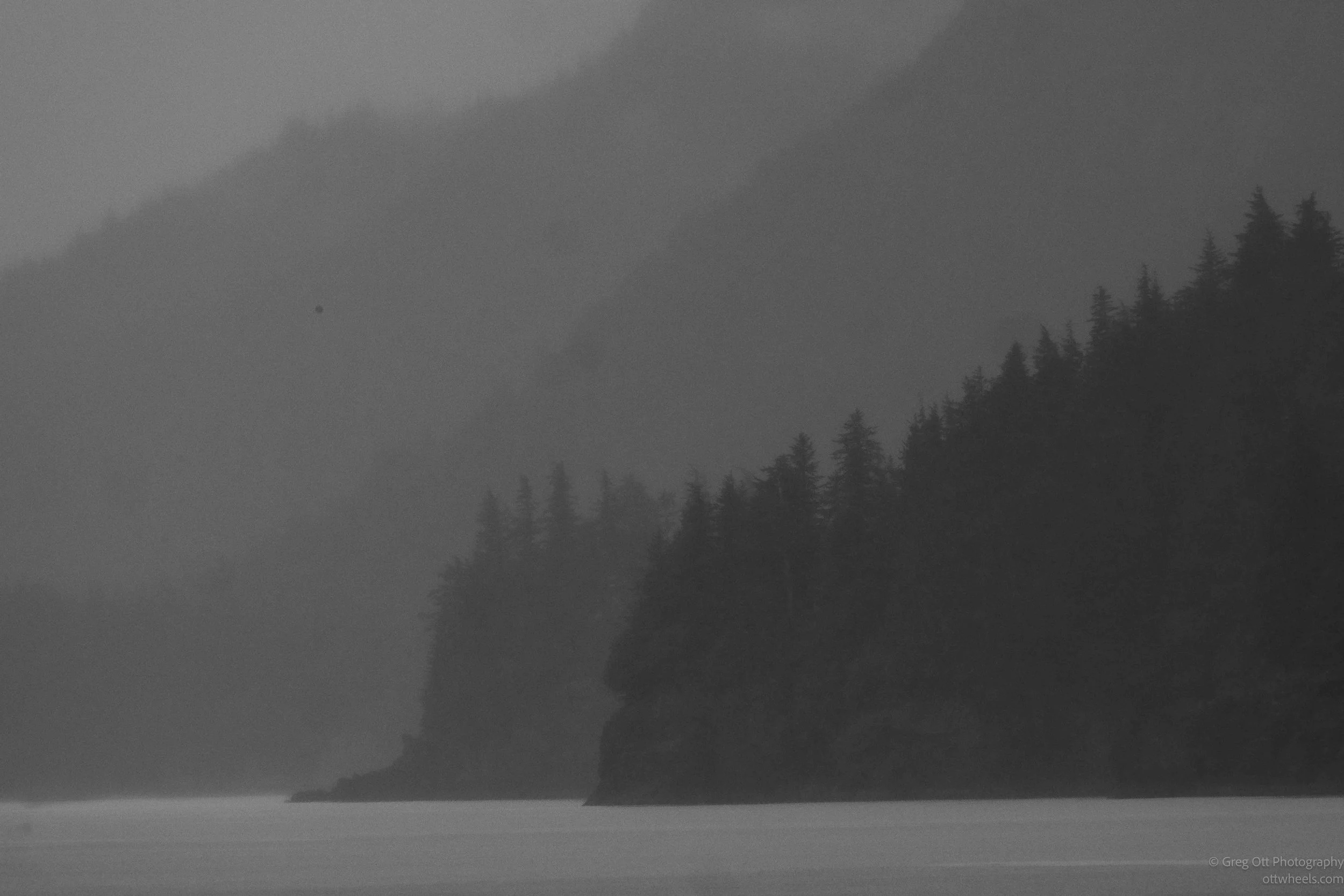 _NZ84709.jpg