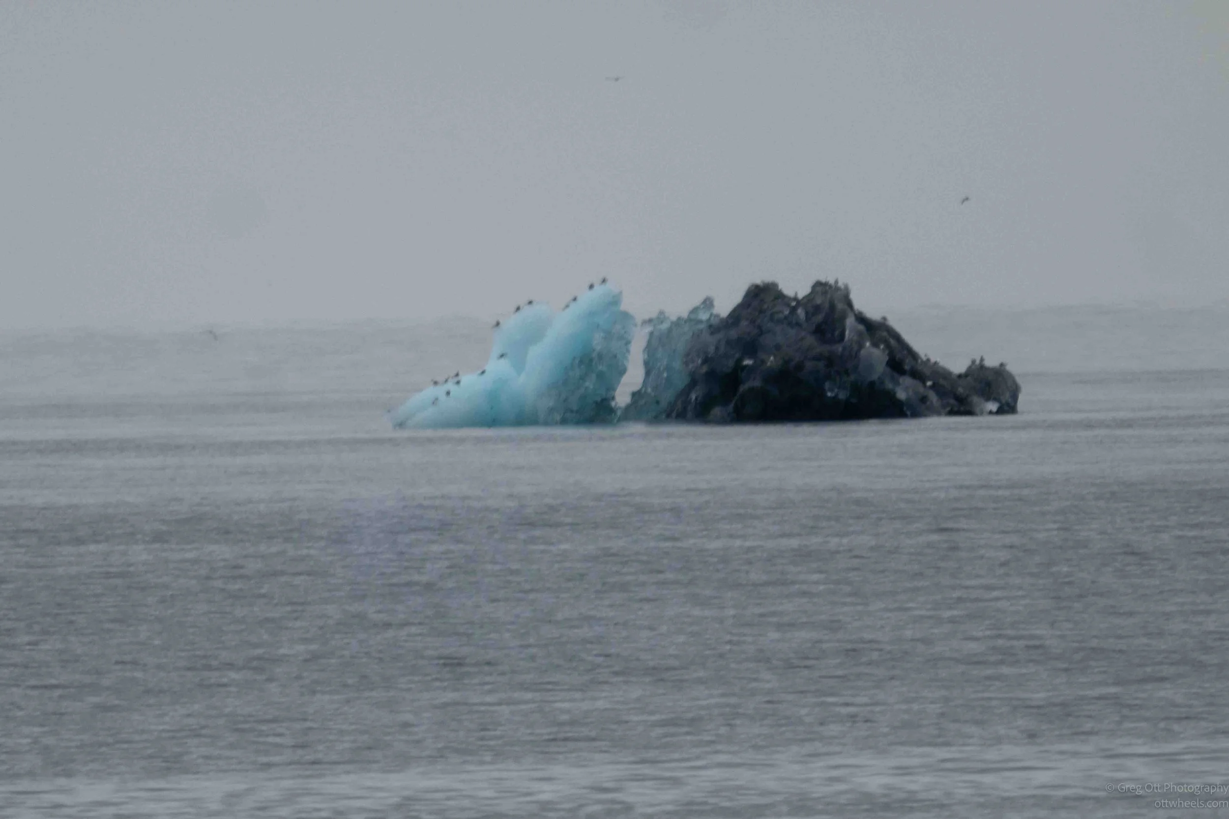NZ8_4941.jpg