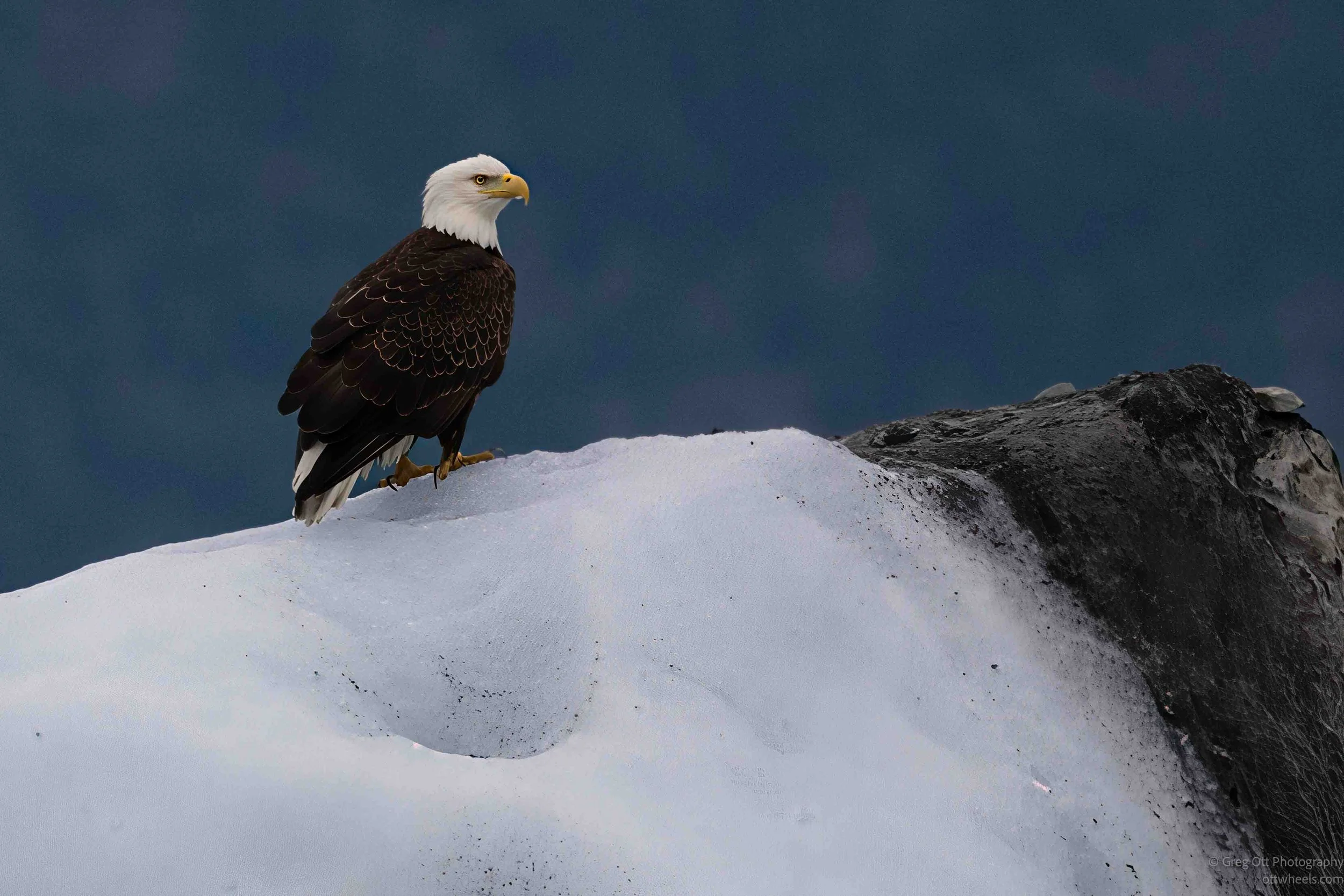 Meares Glacier Tour