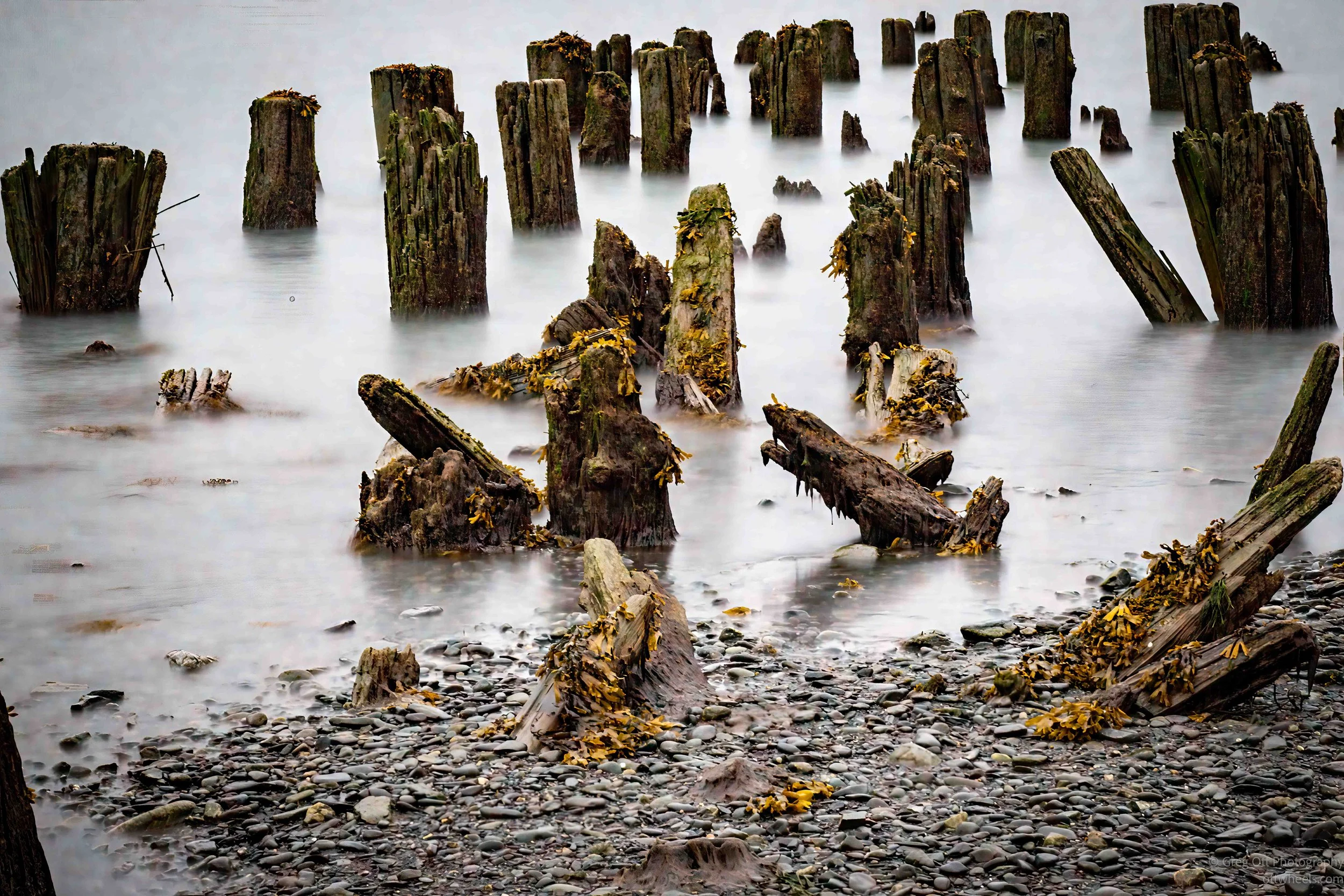 _NZ84992-Edit-2.jpg