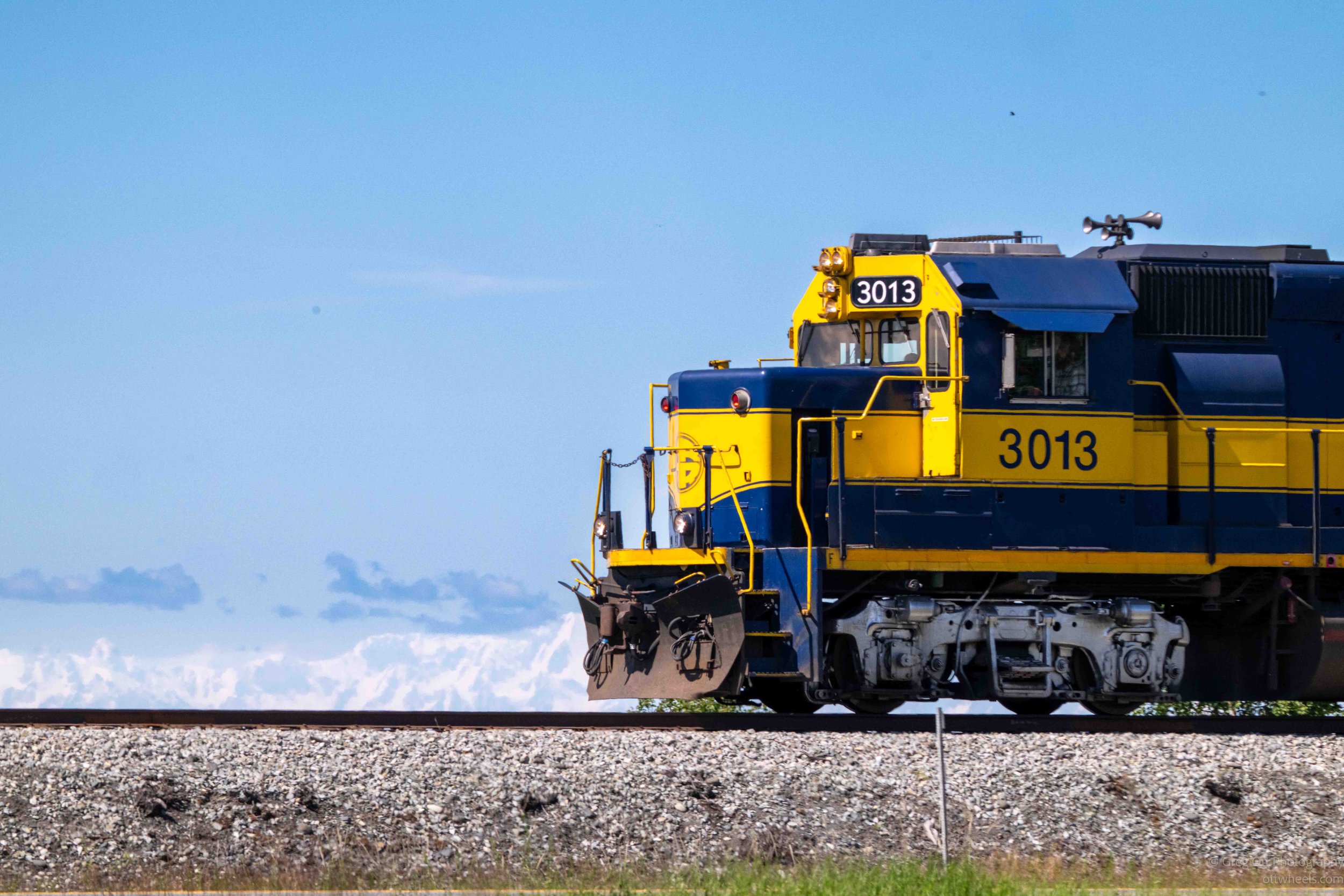 NZ8_5403.jpg