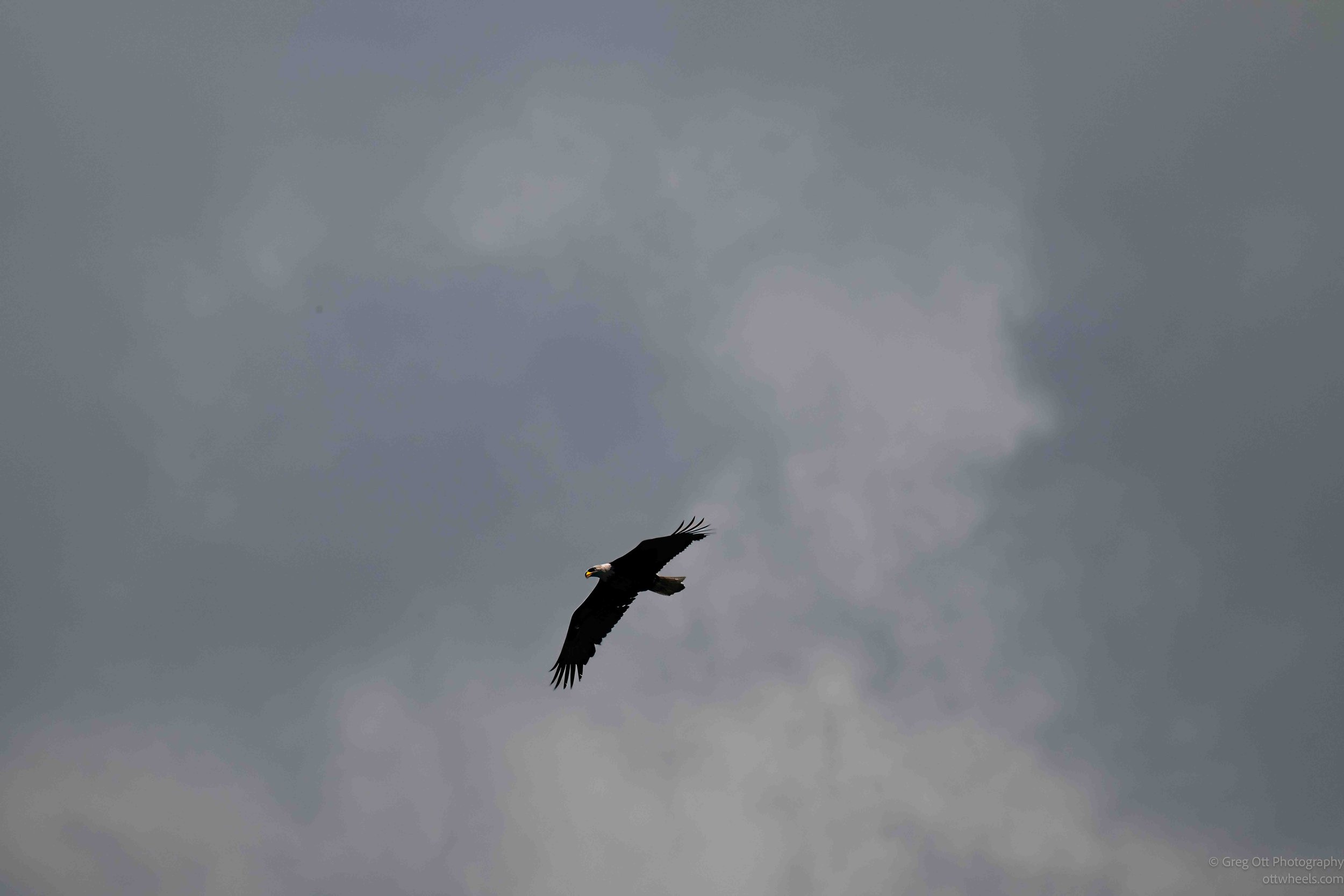 NZ8_5289-Edit.jpg