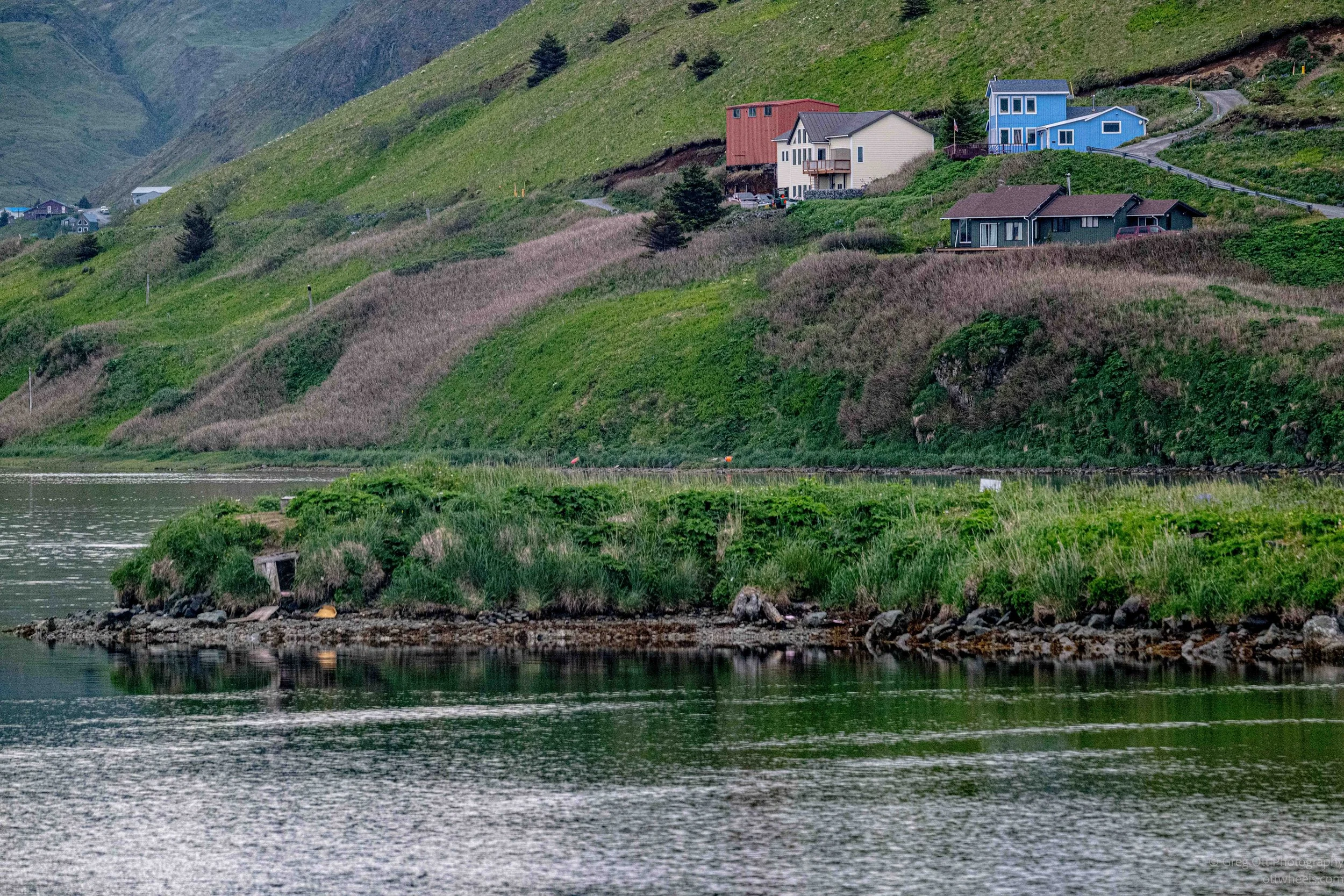 NZ8_6367.jpg