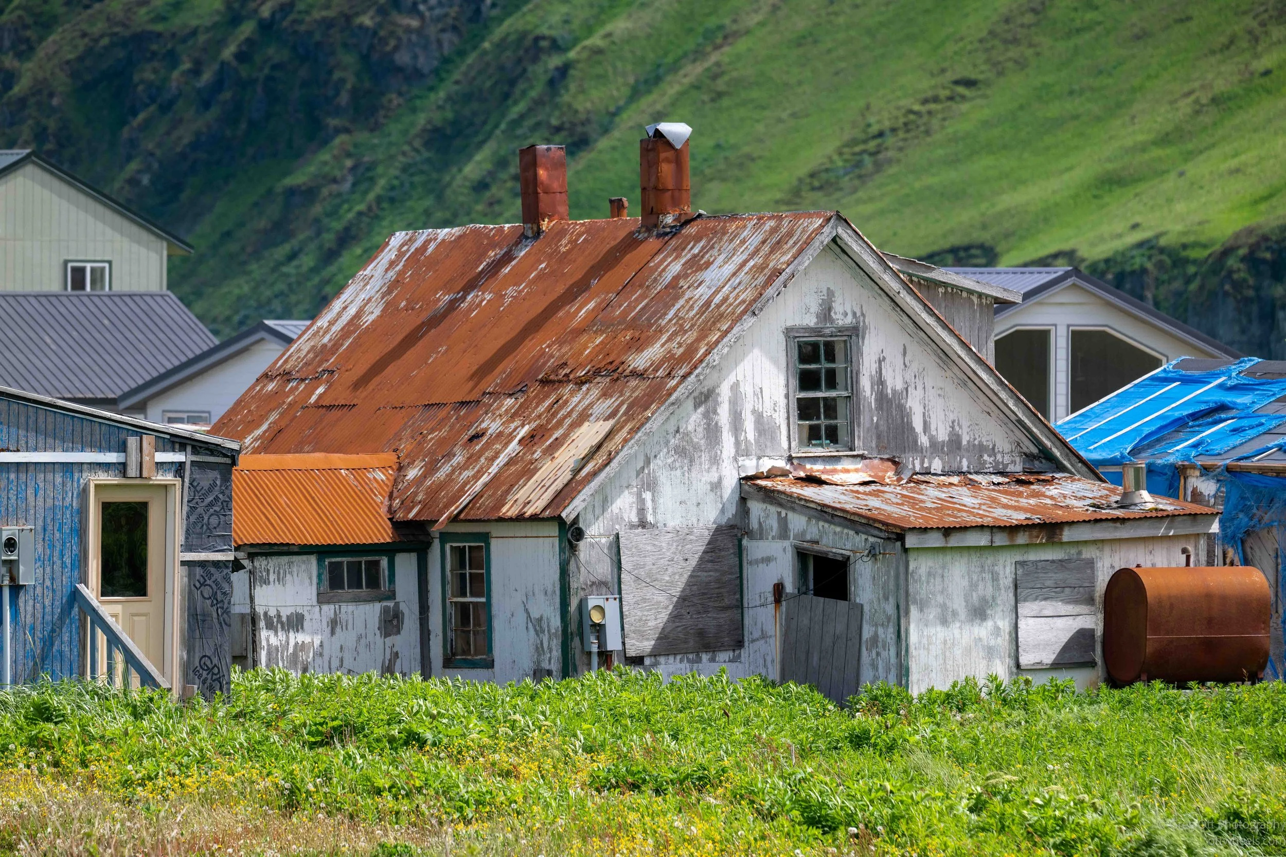 NZ8_6455.jpg