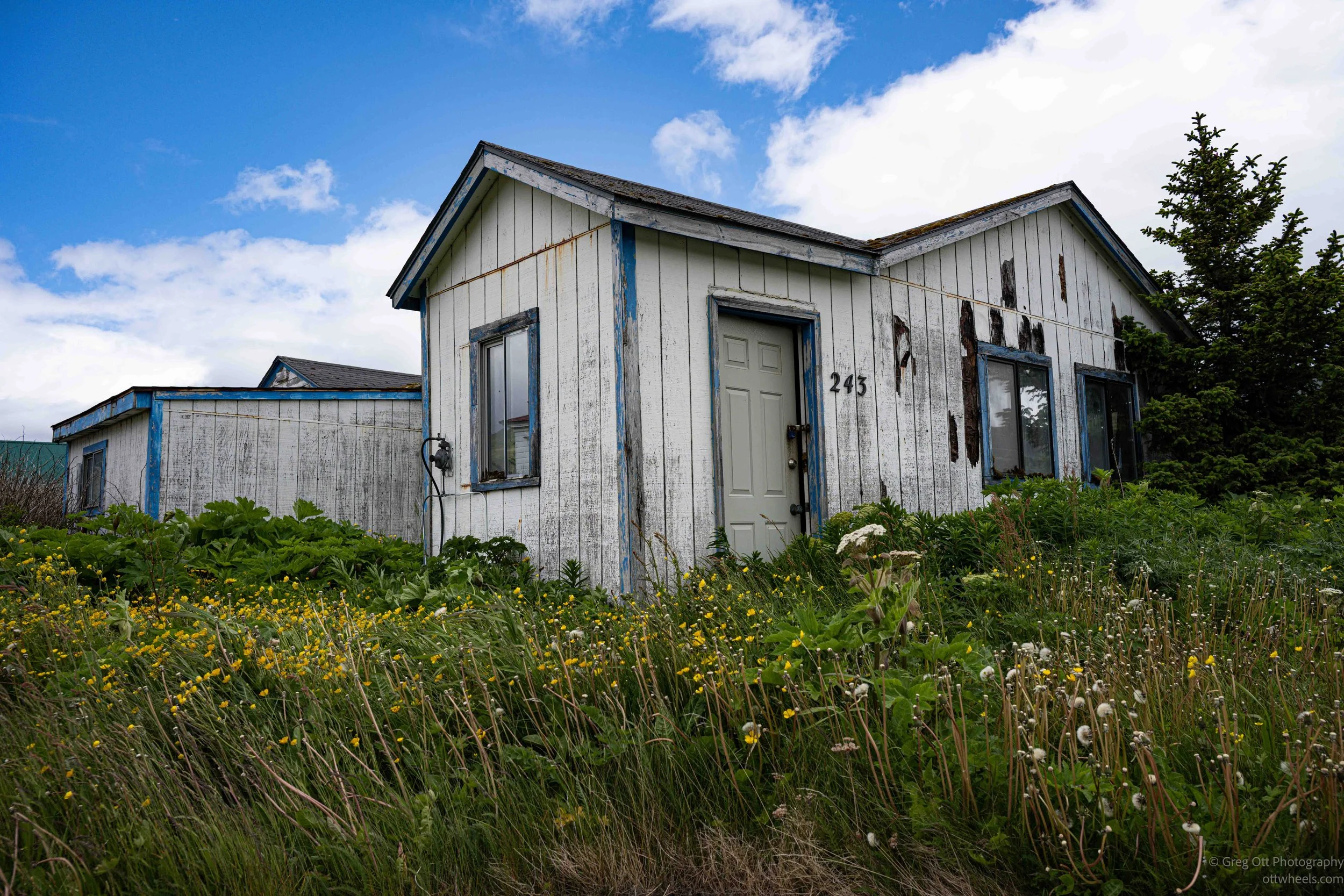 _NZ73972.jpg