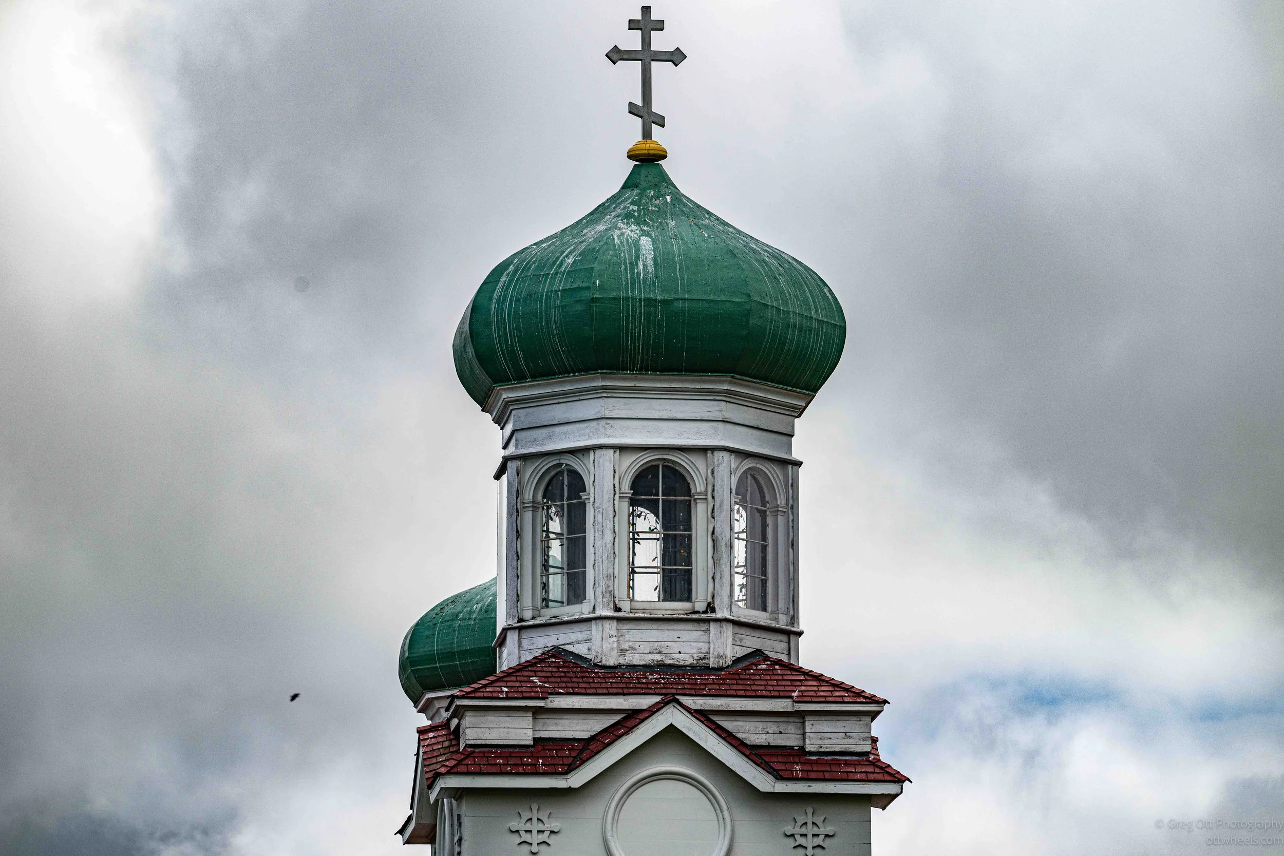 NZ8_6502.jpg