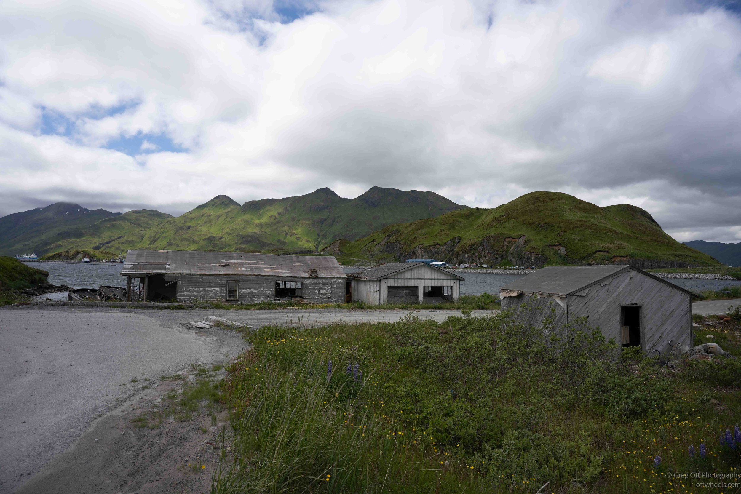 _NZ73979.jpg