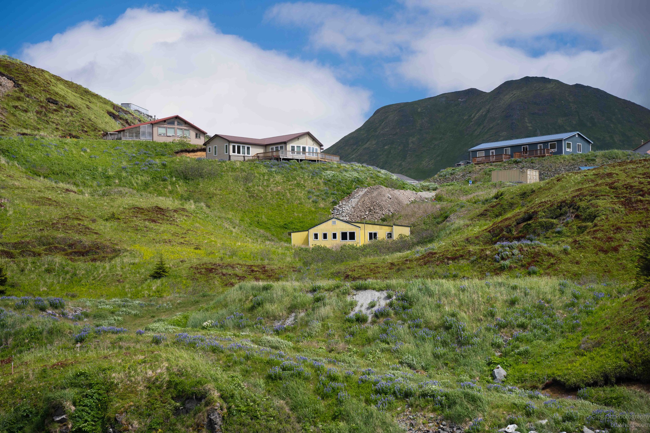 _NZ73991.jpg
