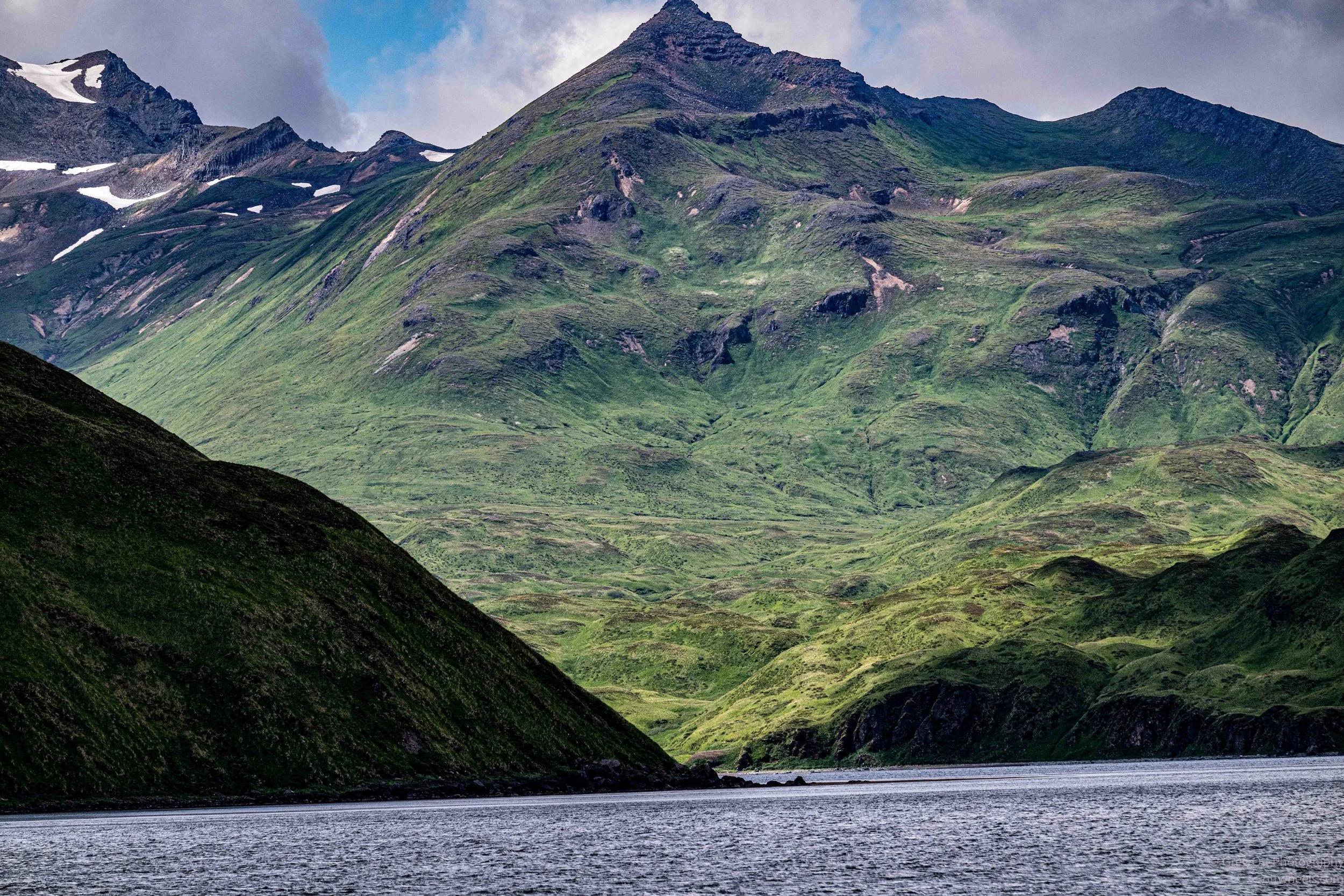 NZ8_6655.jpg