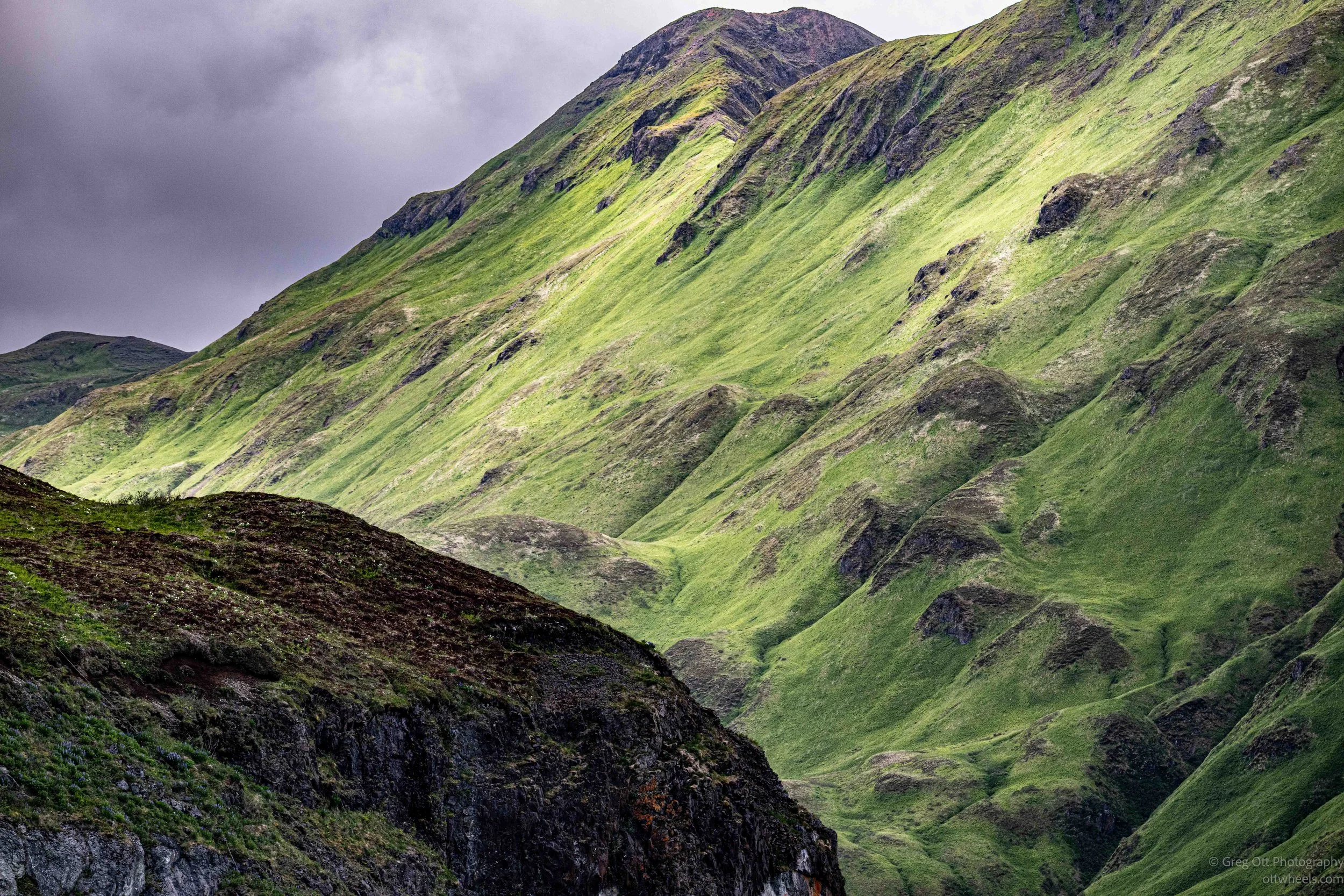 NZ8_6648.jpg