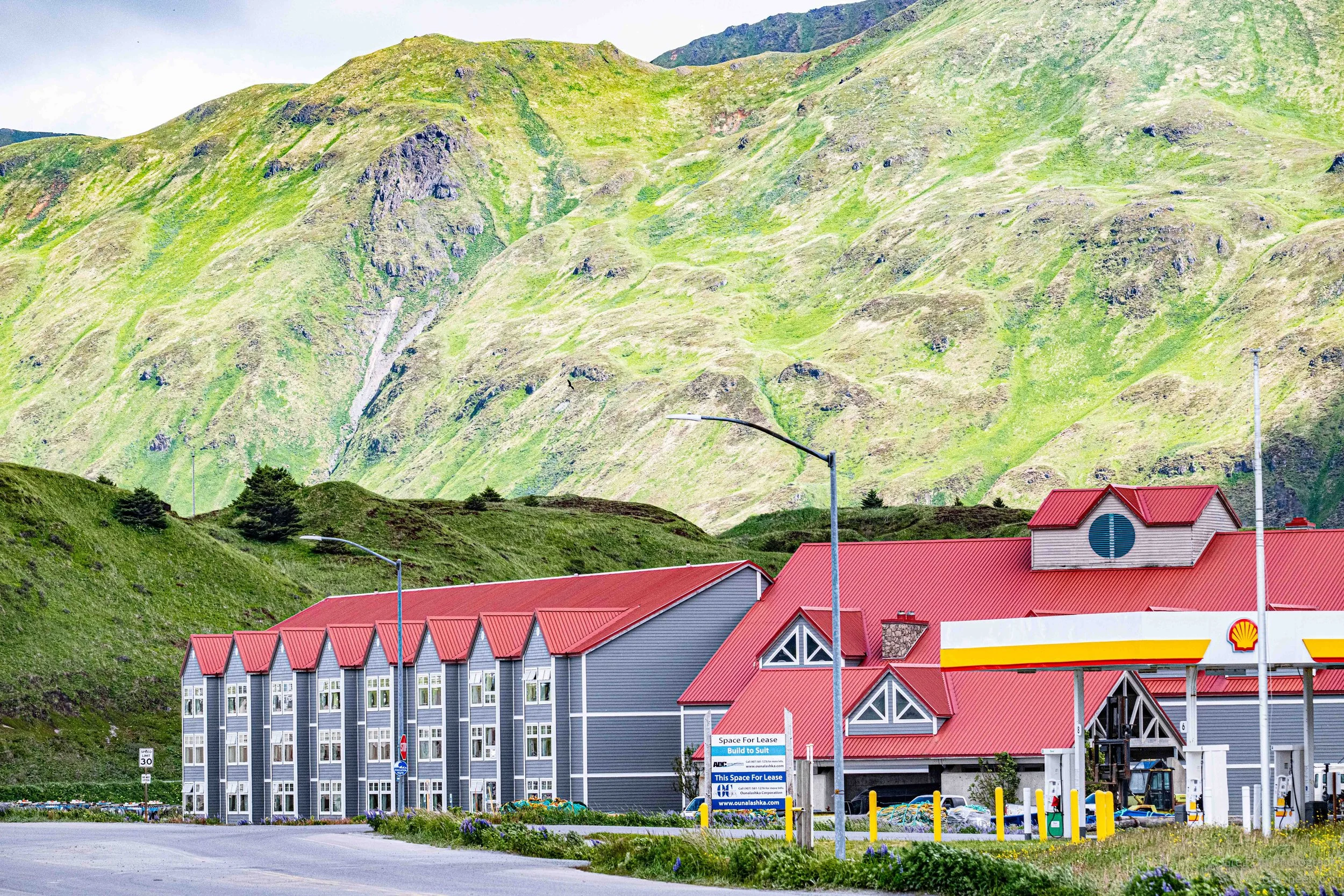 NZ8_6738.jpg