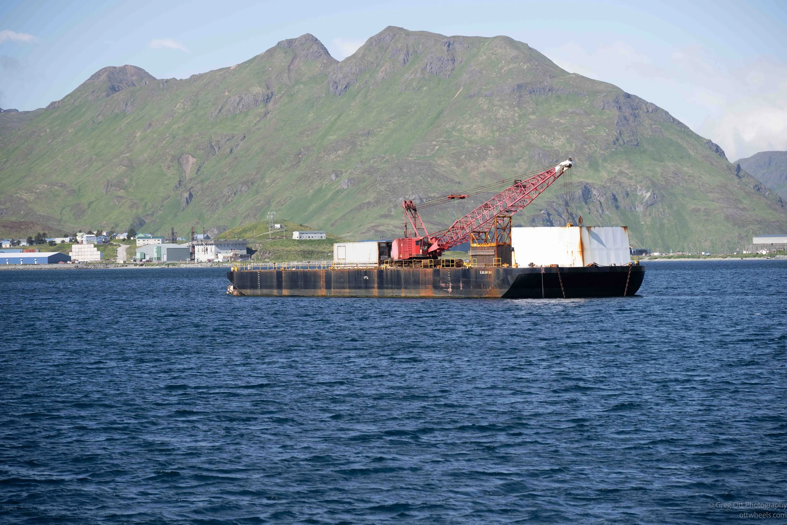 _NZ74030.jpg