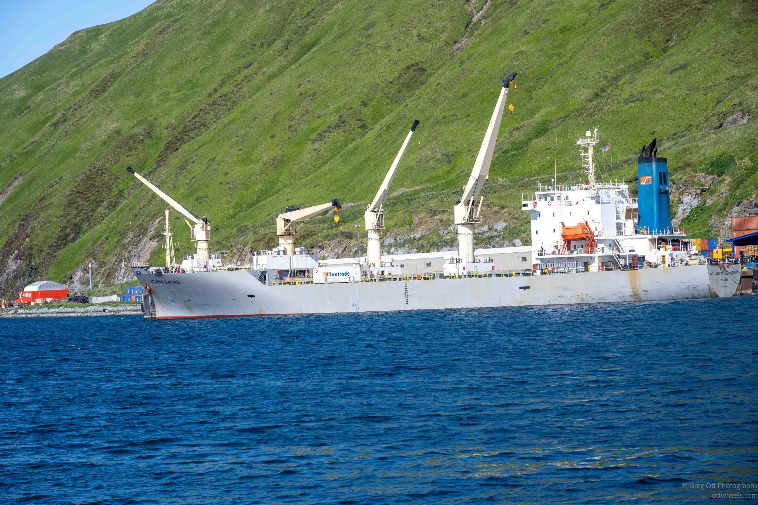 _NZ74019.jpg