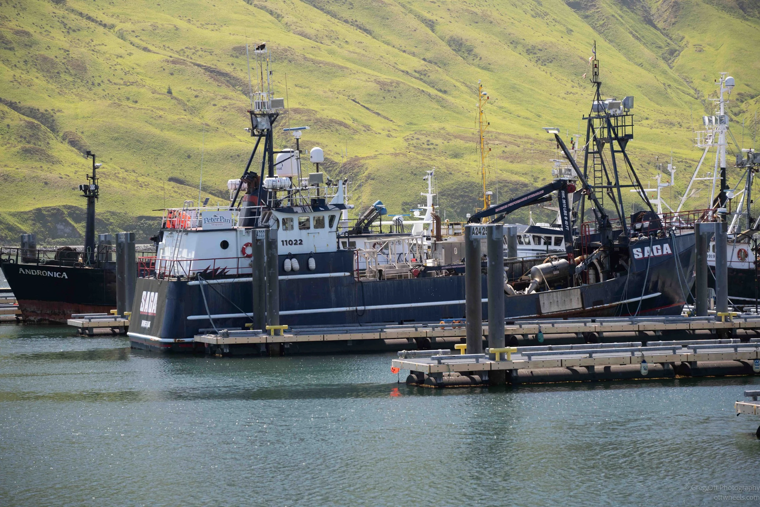 _NZ74083.jpg