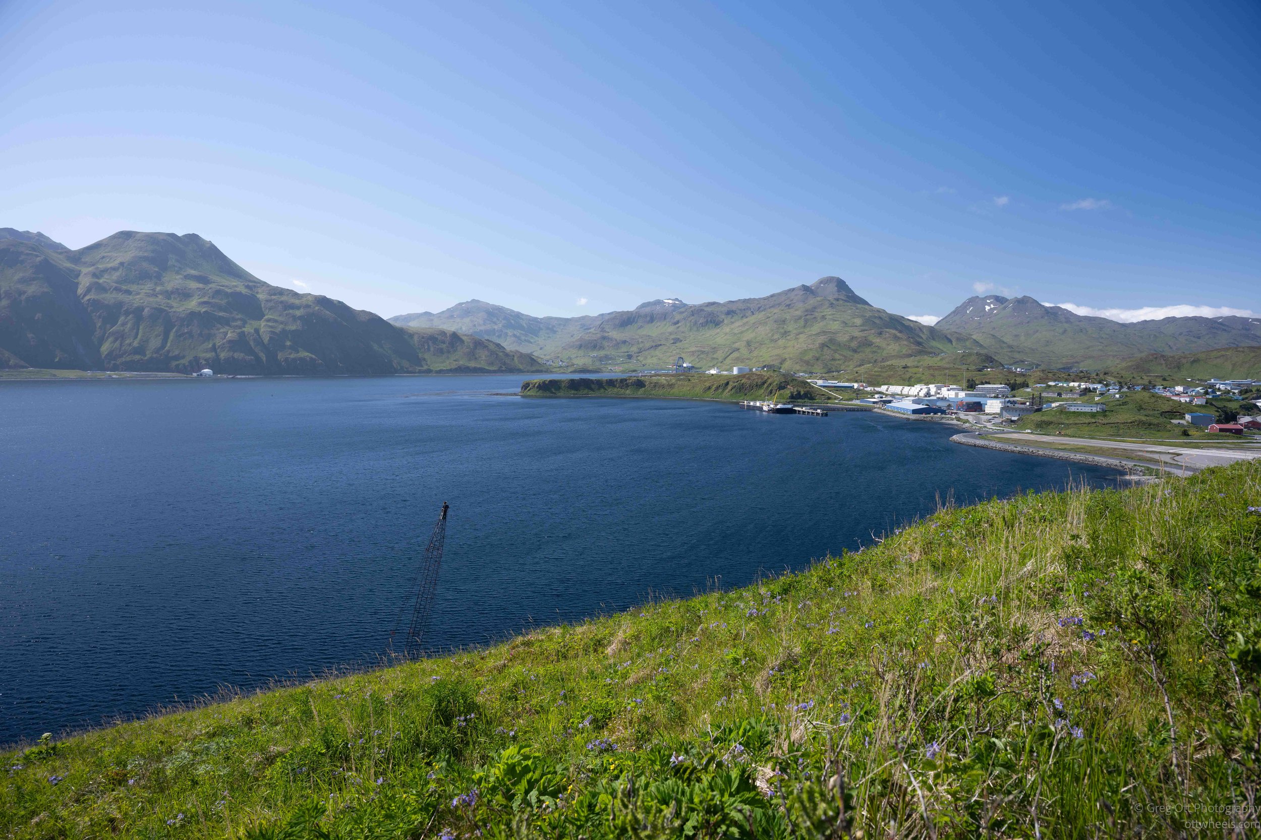 _NZ74038.jpg