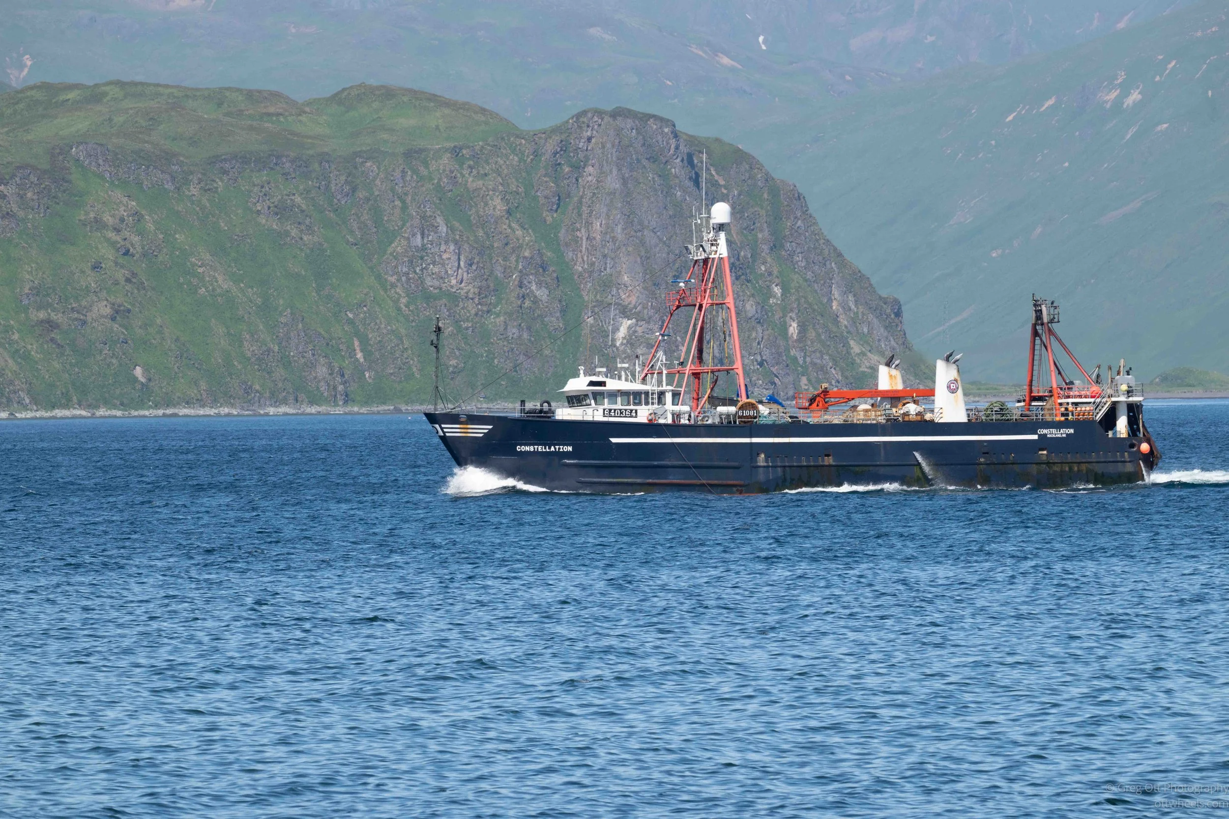 NZ8_6796.jpg
