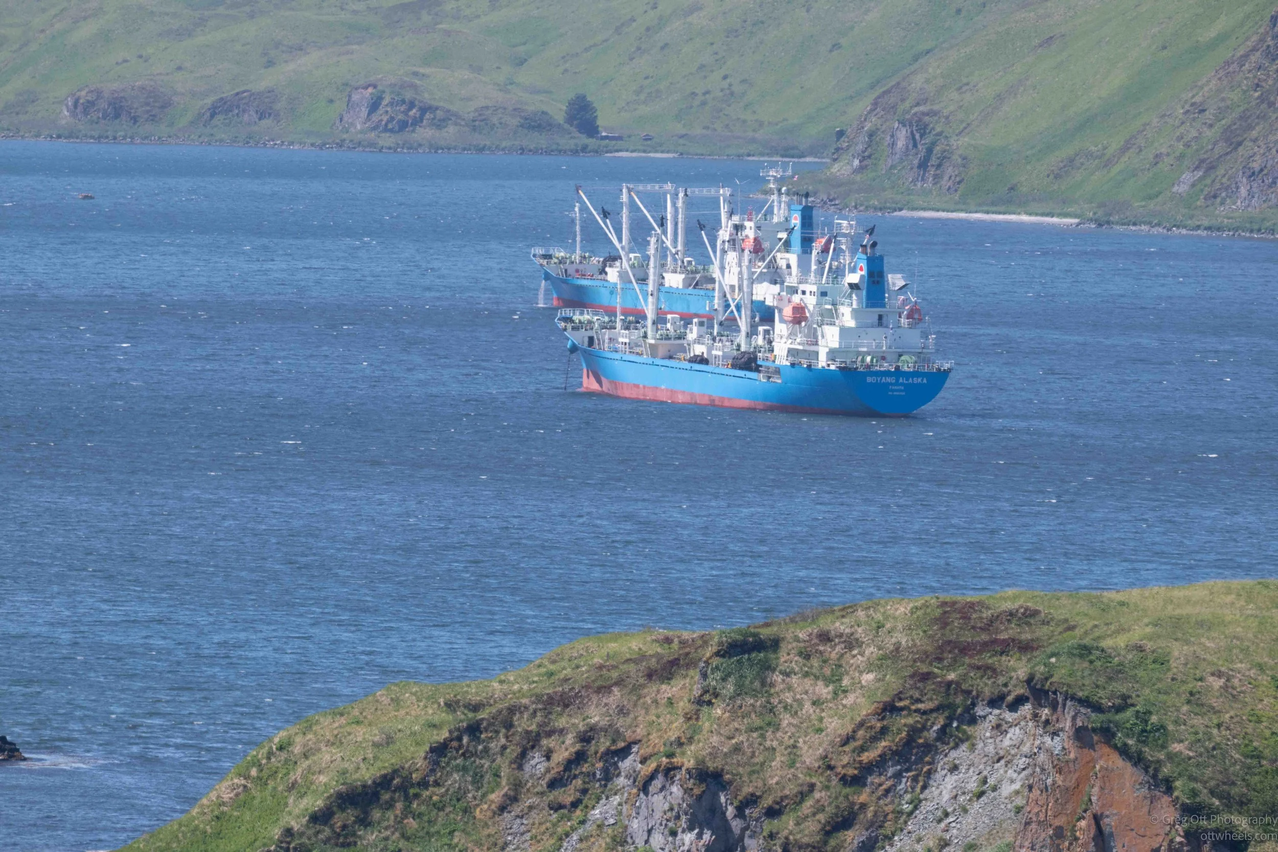 NZ8_6821.jpg