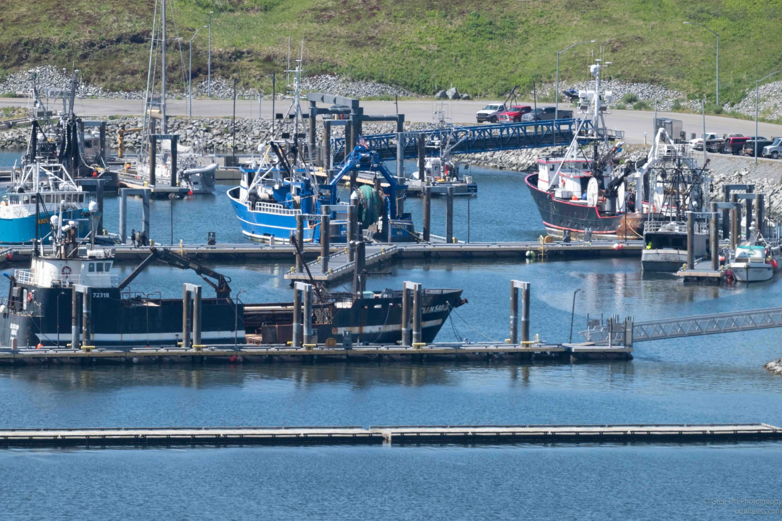 NZ8_6826.jpg